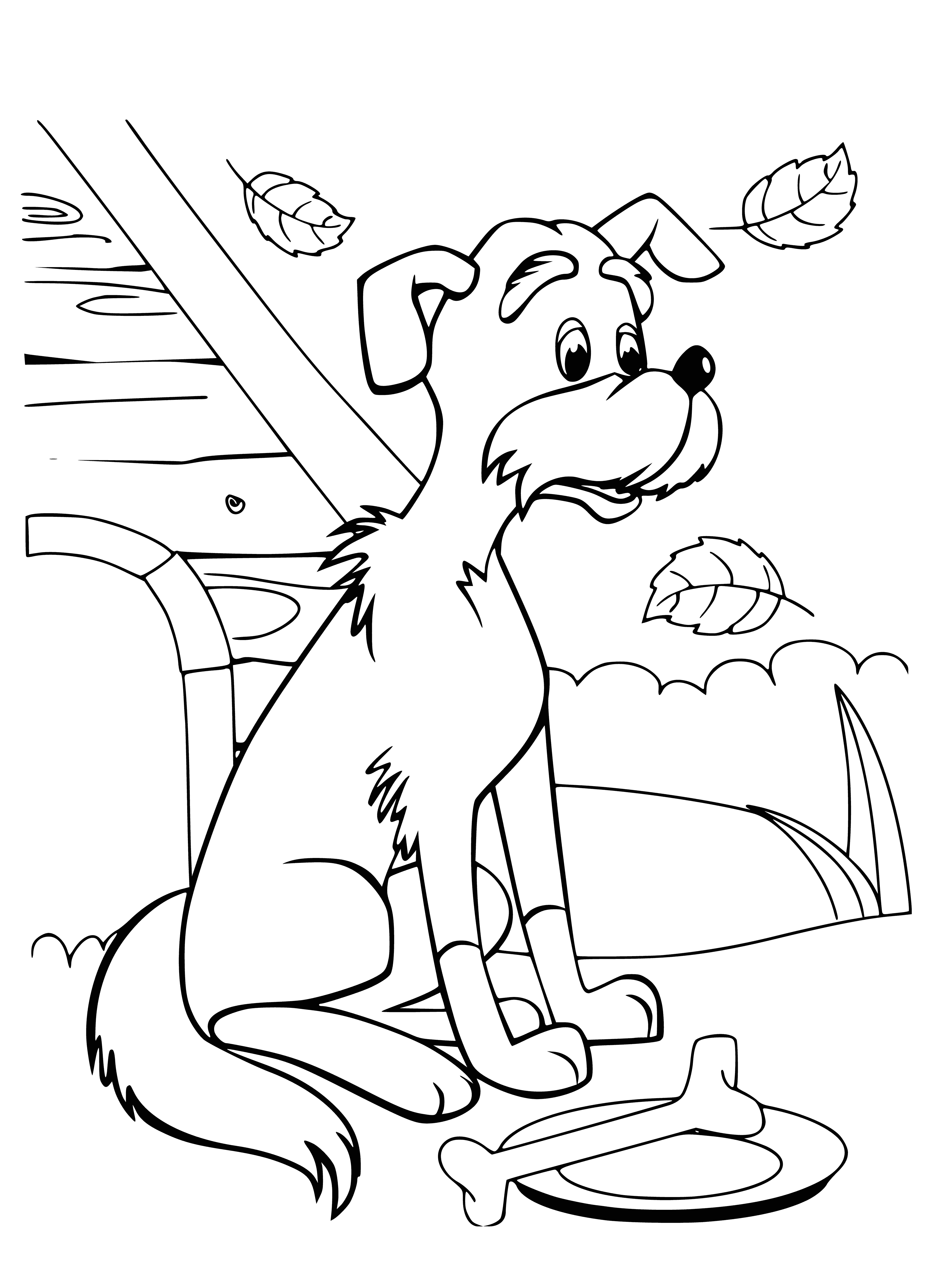 coloring page: Kitten named Woof, a guard dog, has a brown coat & white belly. Eyes closed, looks like it's sleeping peacefully on the ground. #Cuteanimals