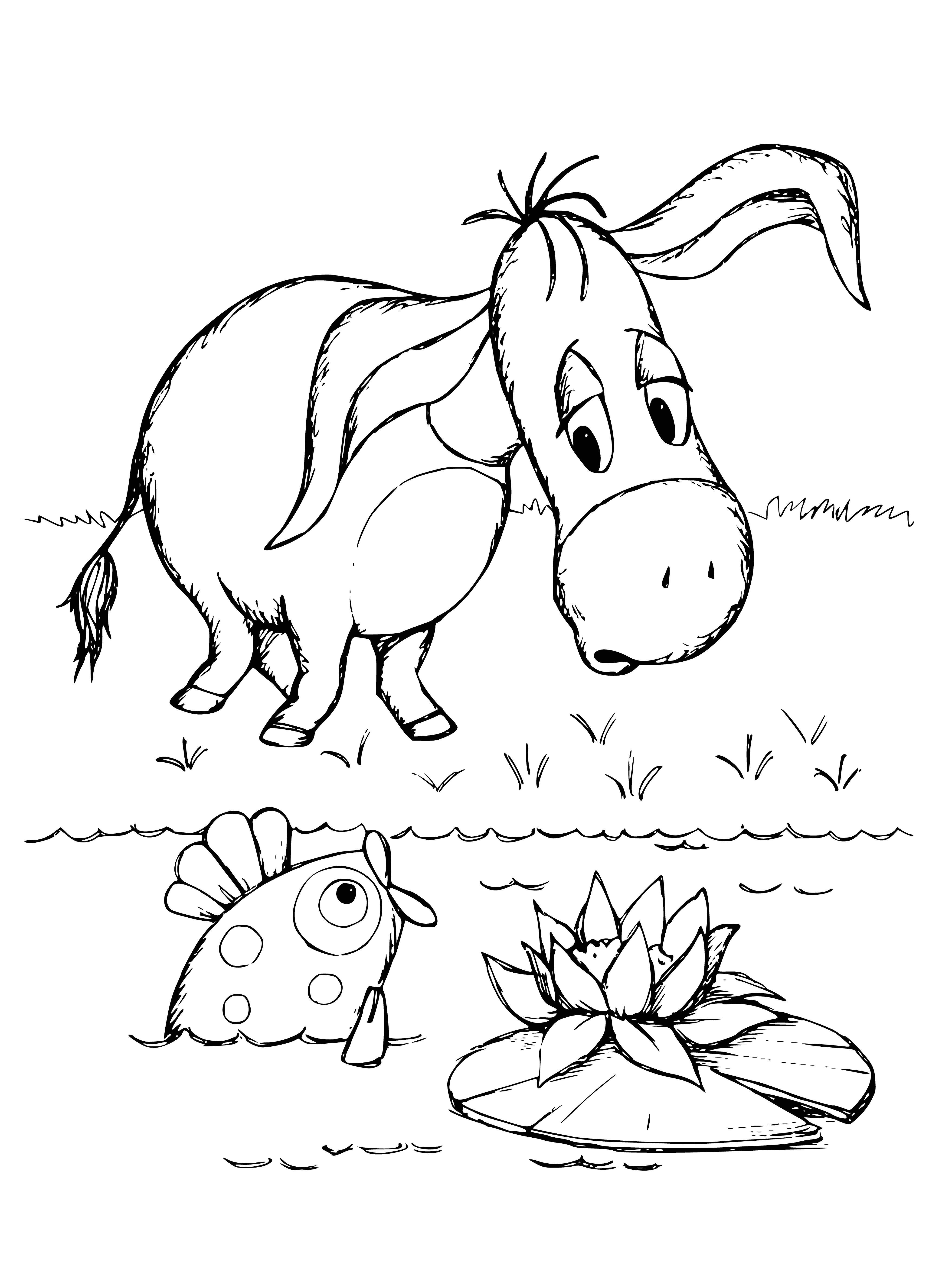 coloring page: Donkey stands on a hill, arms crossed, head tilted, looking into the distance.