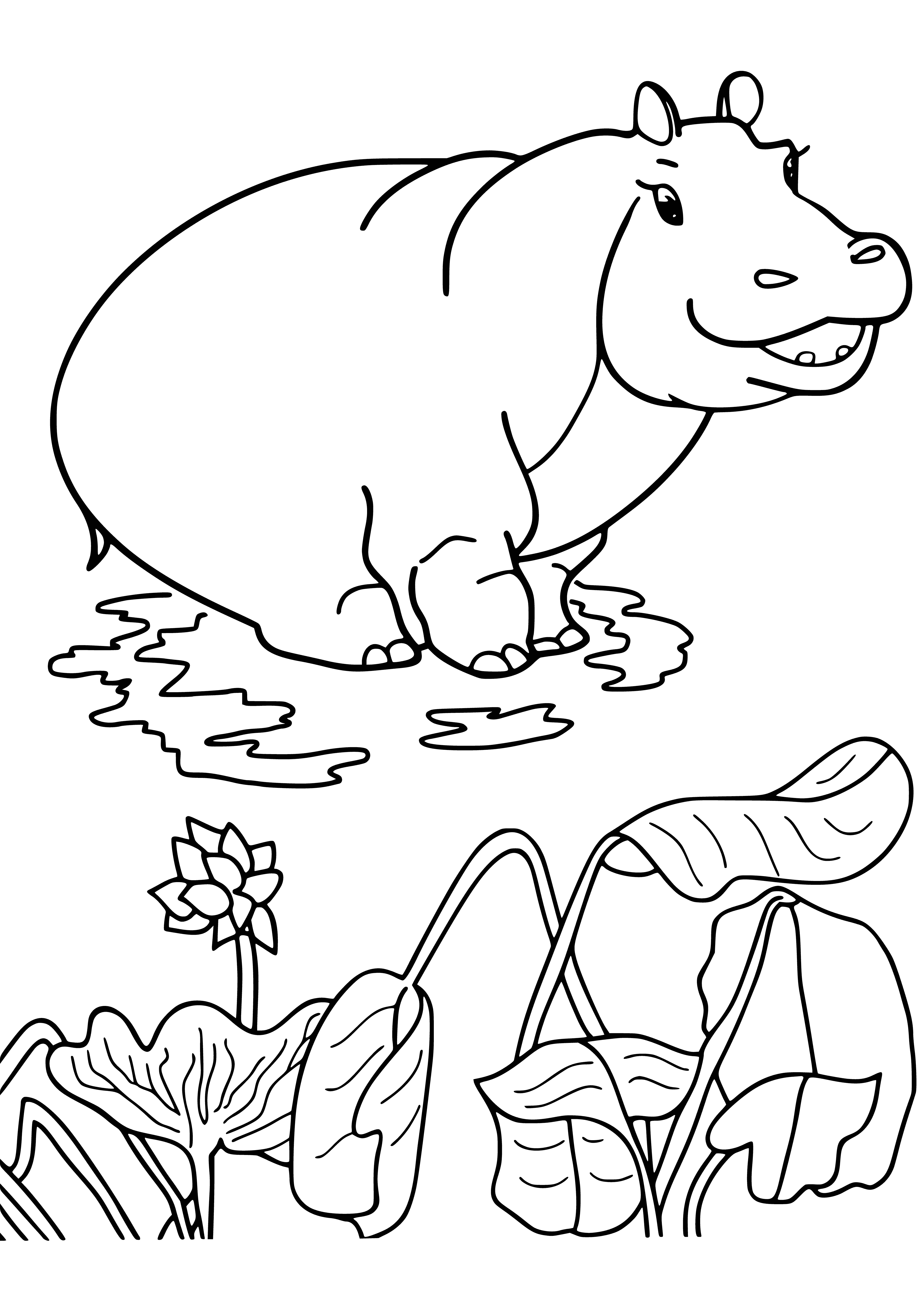 coloring page: Mammoth mom = Big gray hippo aunt; long snout, big teeth, small dark eyes, big floppy ears; short, coarse hair.
