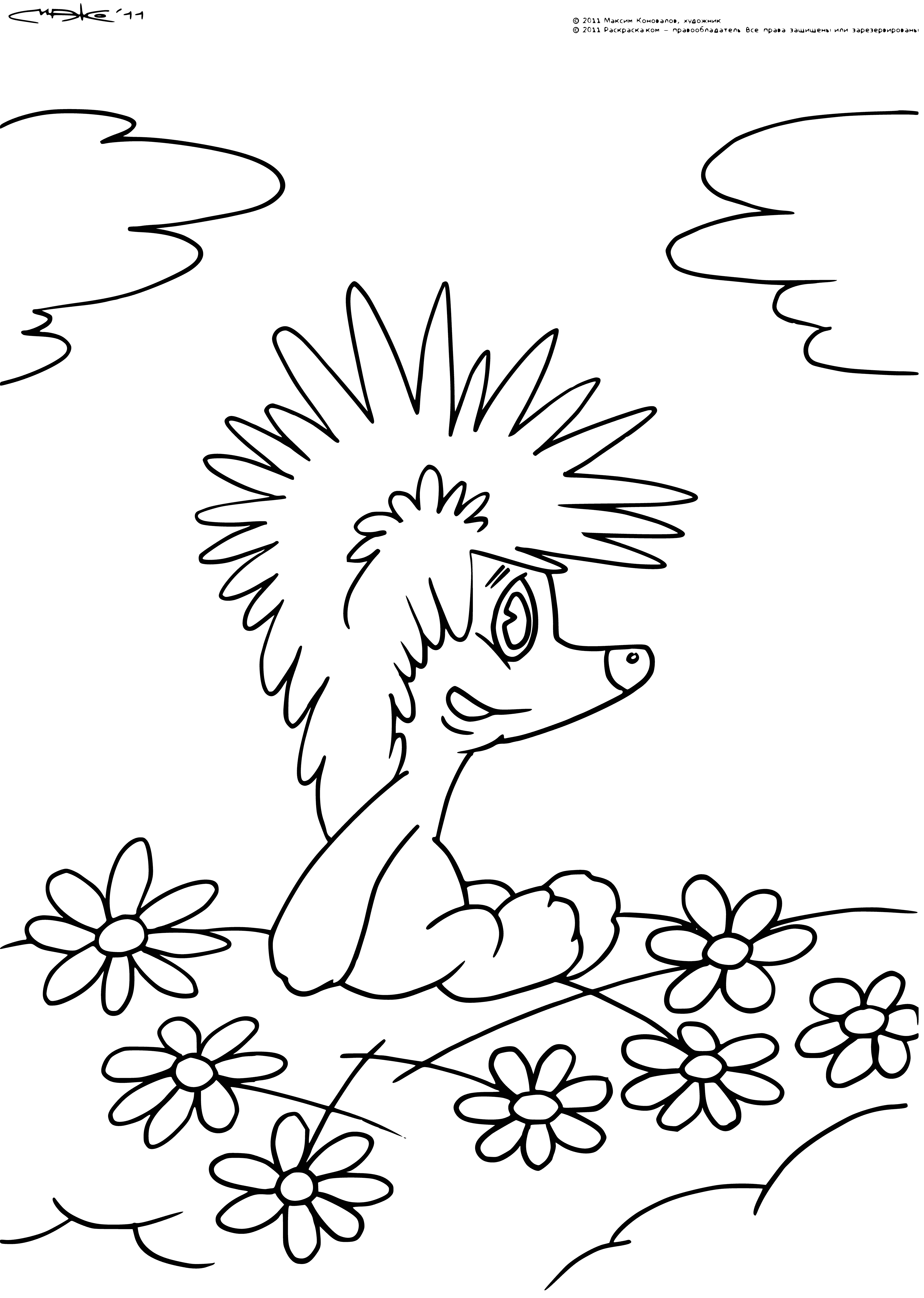 coloring page: Hedgehog on a cloud holding a balloon, with a blue and white gradient background.