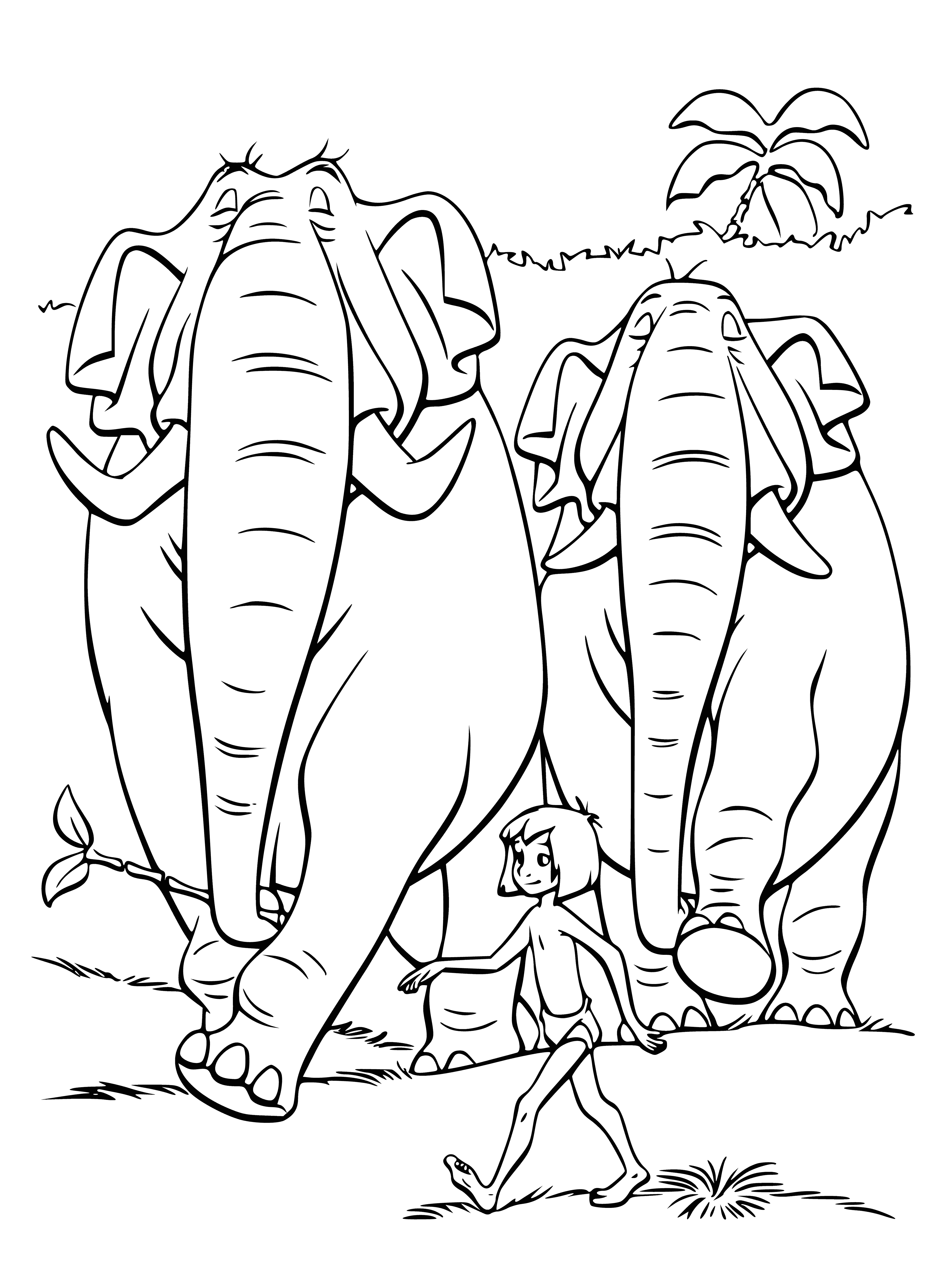 coloring page: Mowgli is walking with a herd of elephants in the jungle, wearing a loincloth and holding on to an elephant's trunk with a knife in his belt. His wild hair and big grin show his excitement.