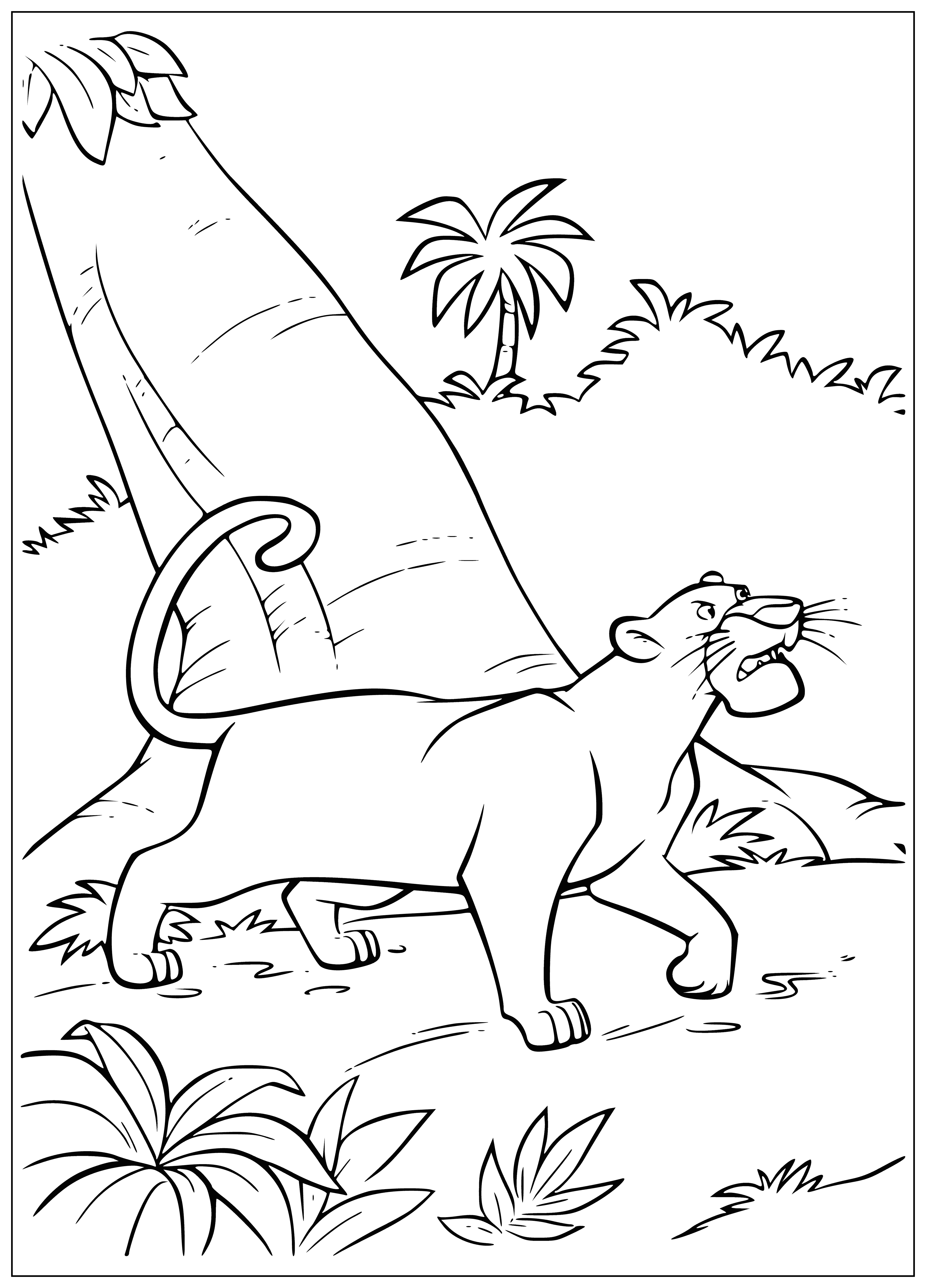 coloring page: Pantera Bagira lies peacefully in the jungle, eyes closed and head held high. #jungleBook
