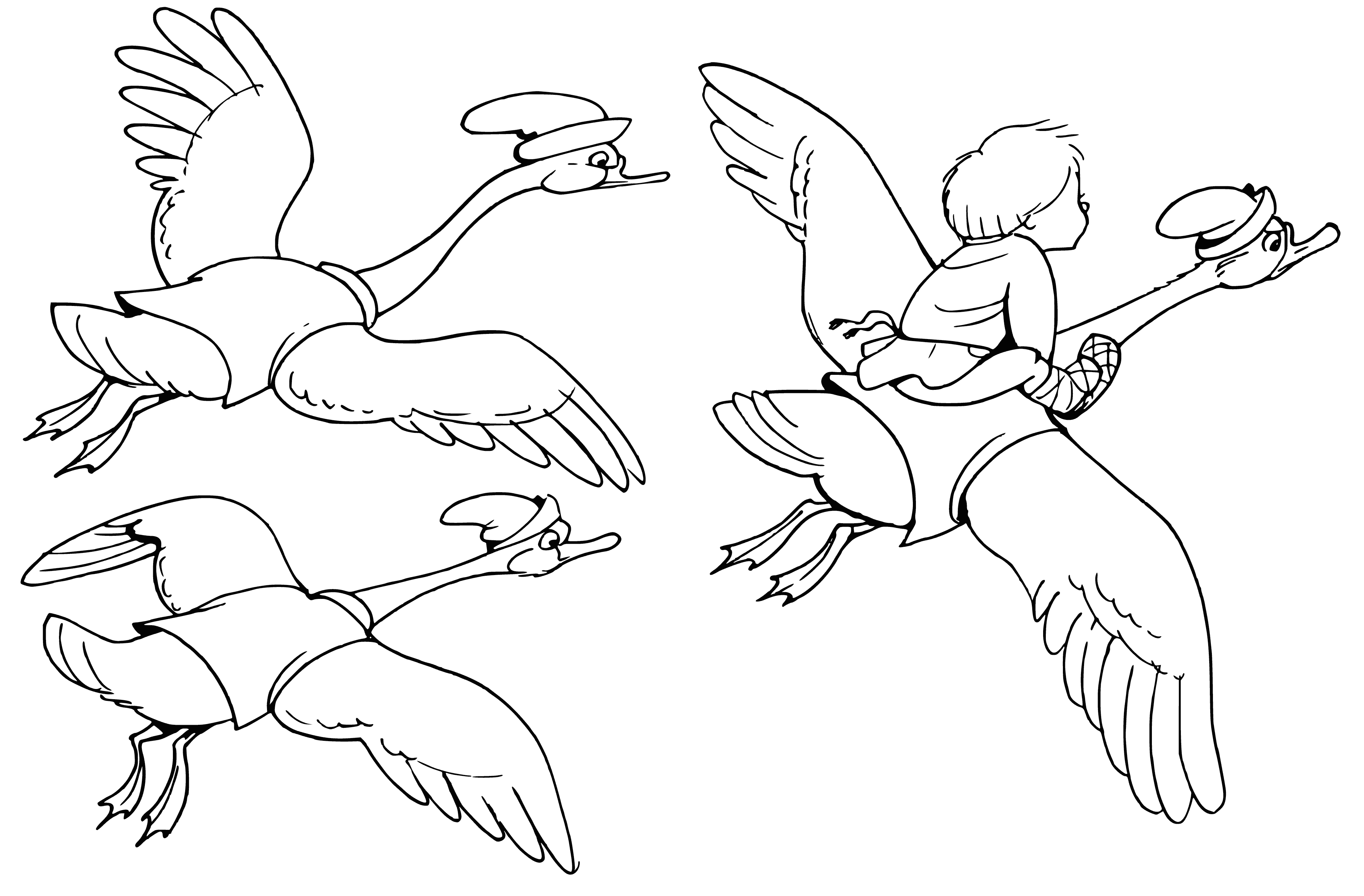 coloring page: Group of geese flies away with boy in their beaks. Boy looks scared and reaches out, needing help. #scarysituation