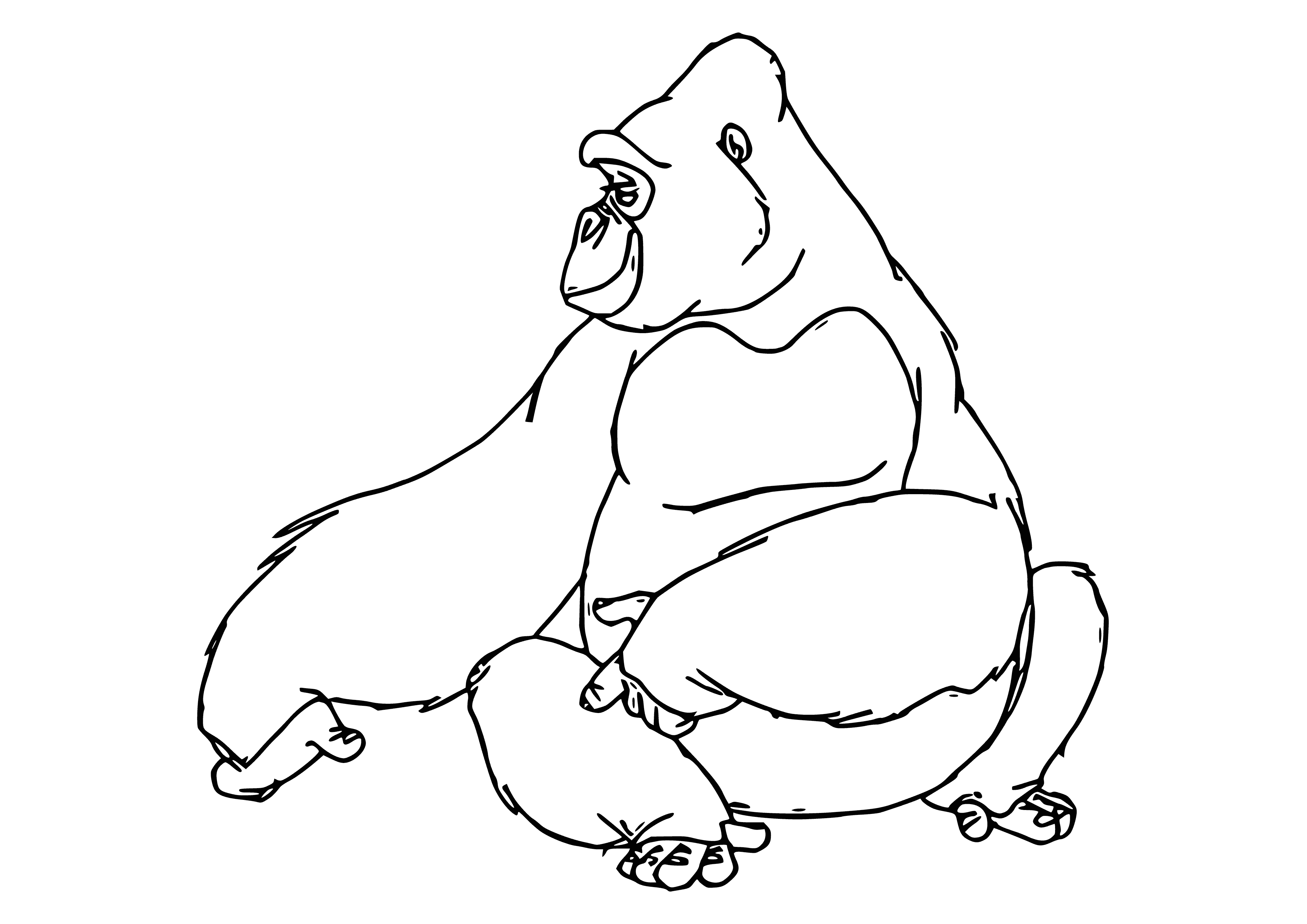 coloring page: A gorilla is standing with fists clenched, snarling in a jungle. It has dark fur, a large head, and long, muscular arms.