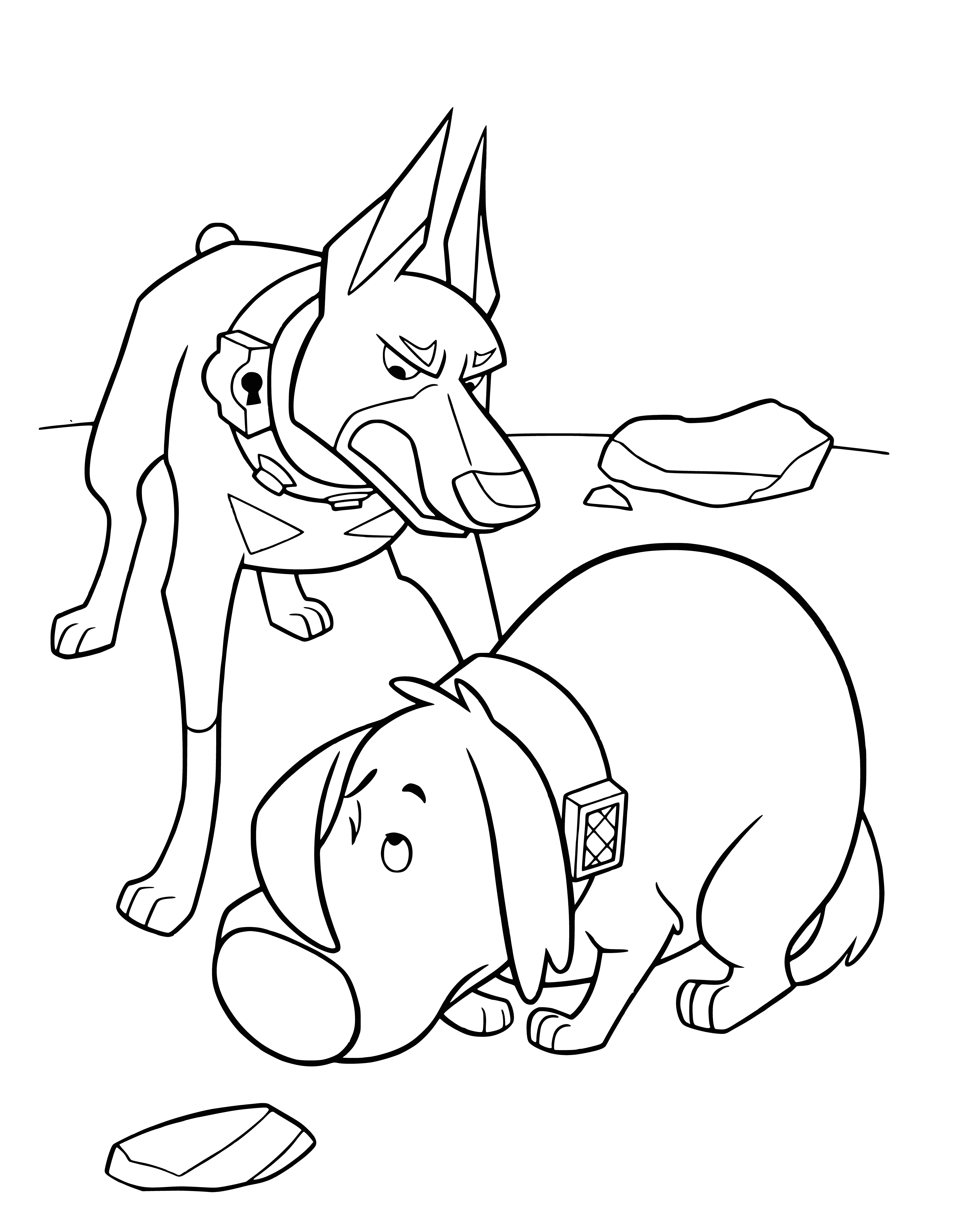 coloring page: Doug, caught chewin' shoes, gets scolded & shamed by his owner.