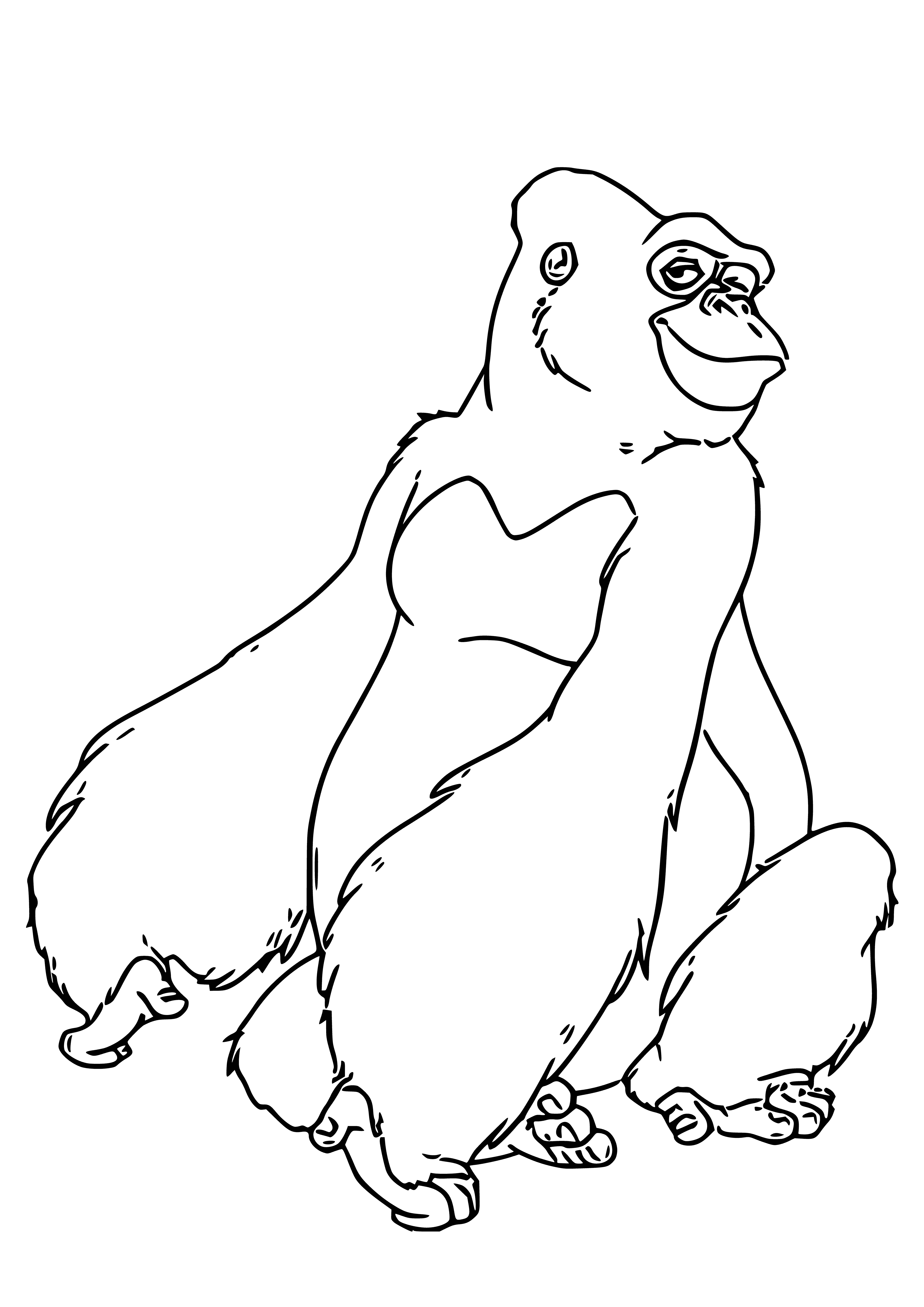 coloring page: Kala is a kind and loving gorilla, who acts as a patient teacher and helpful friend to Tarzan.