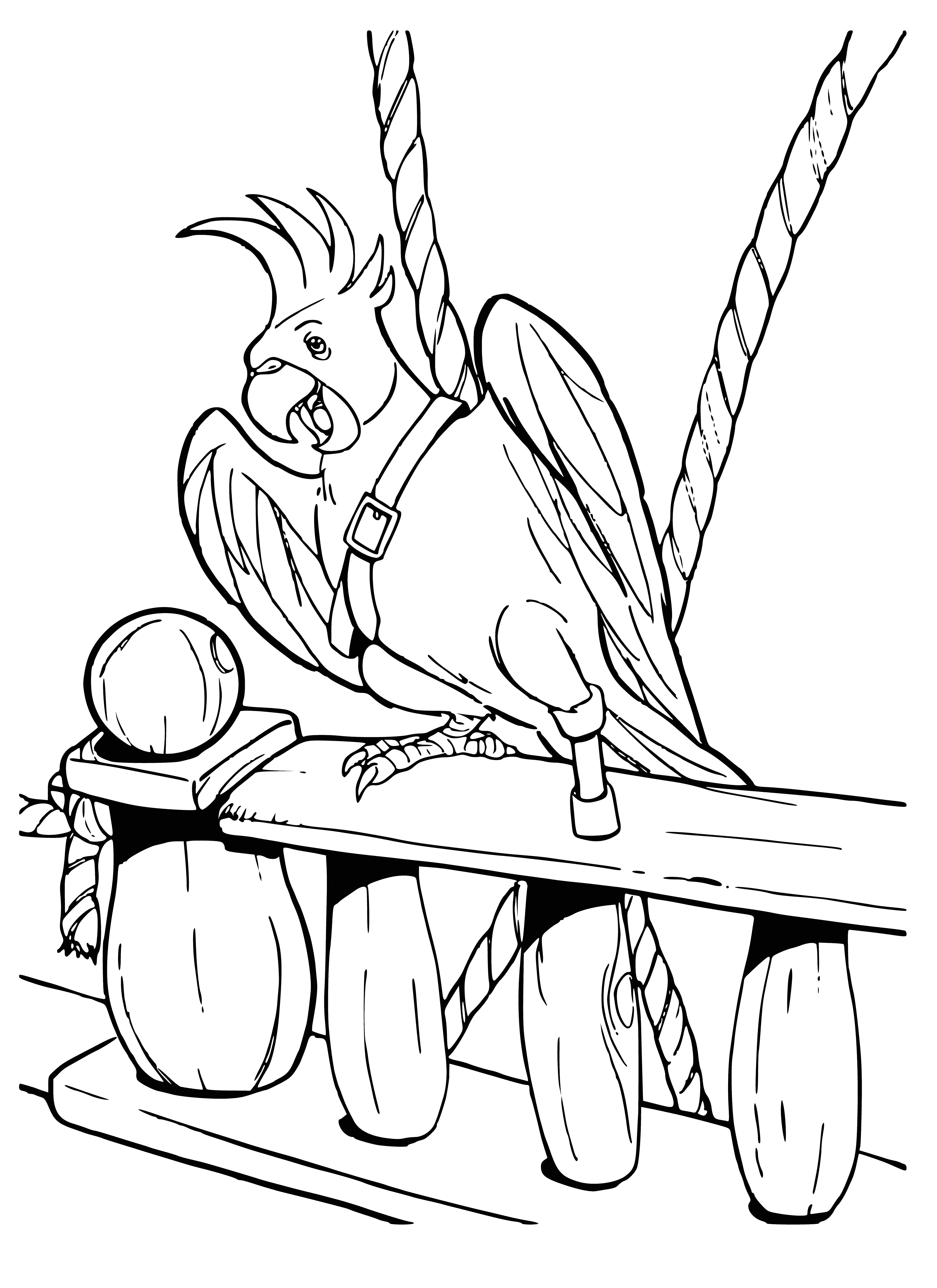 coloring page: Medium green parrot perching on treasure chest filled w/gold coins & jewels. Has brown beak, orange feet & a red/white striped bandana.