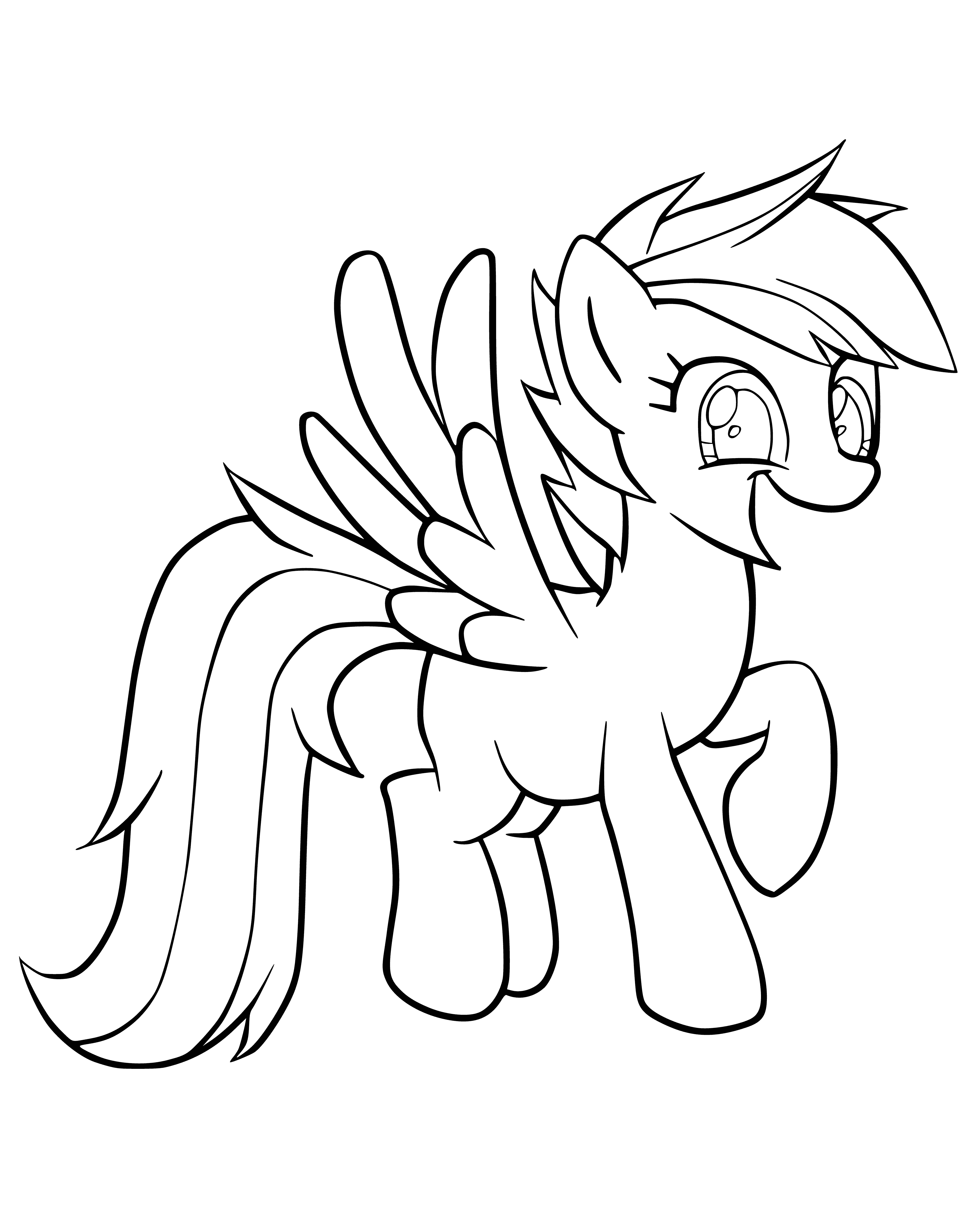 Mijn kleine pony in kleurboek