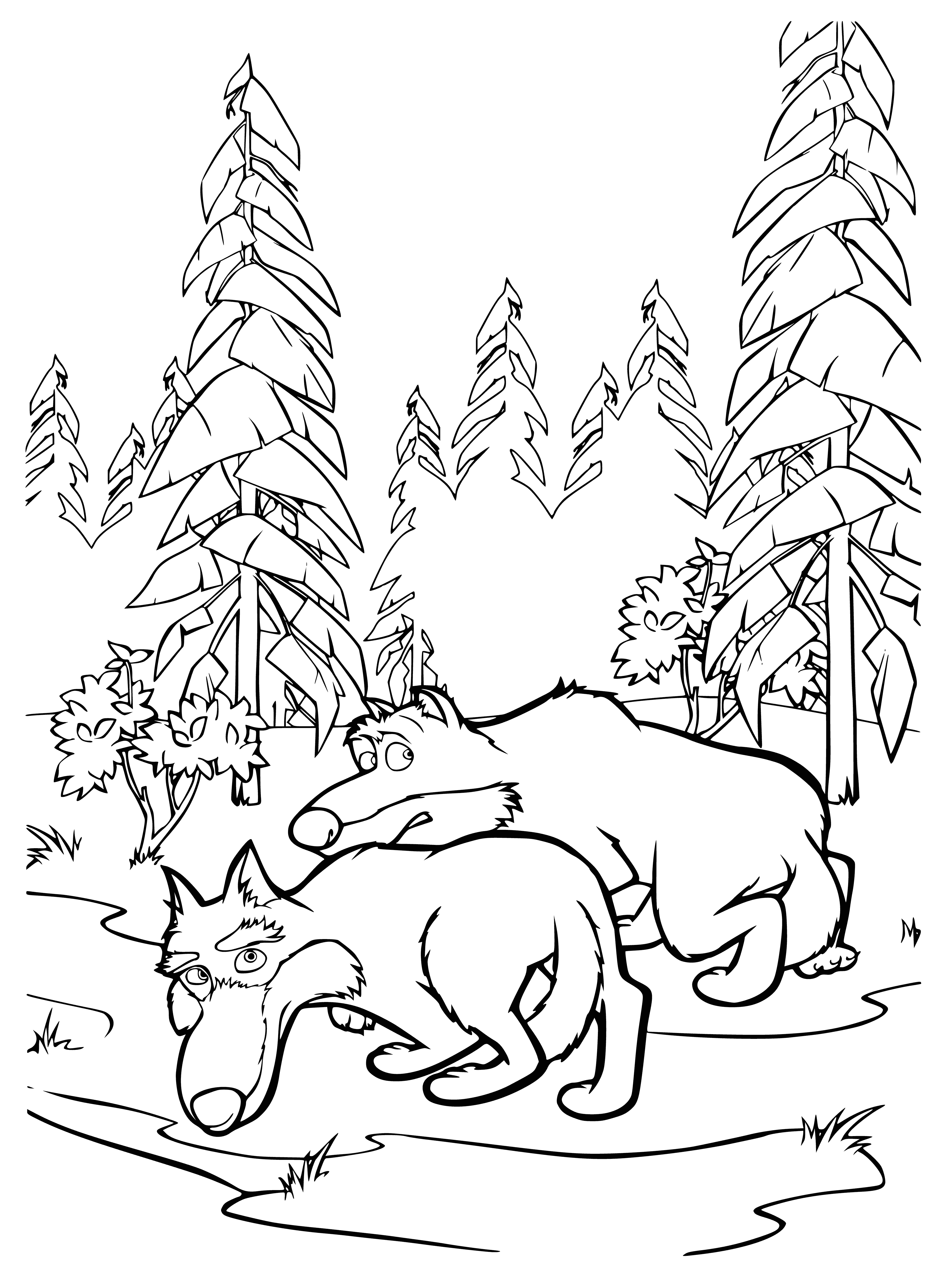 coloring page: Wolves flee Masha and Bear; Masha stands in the path, Bear behind her.