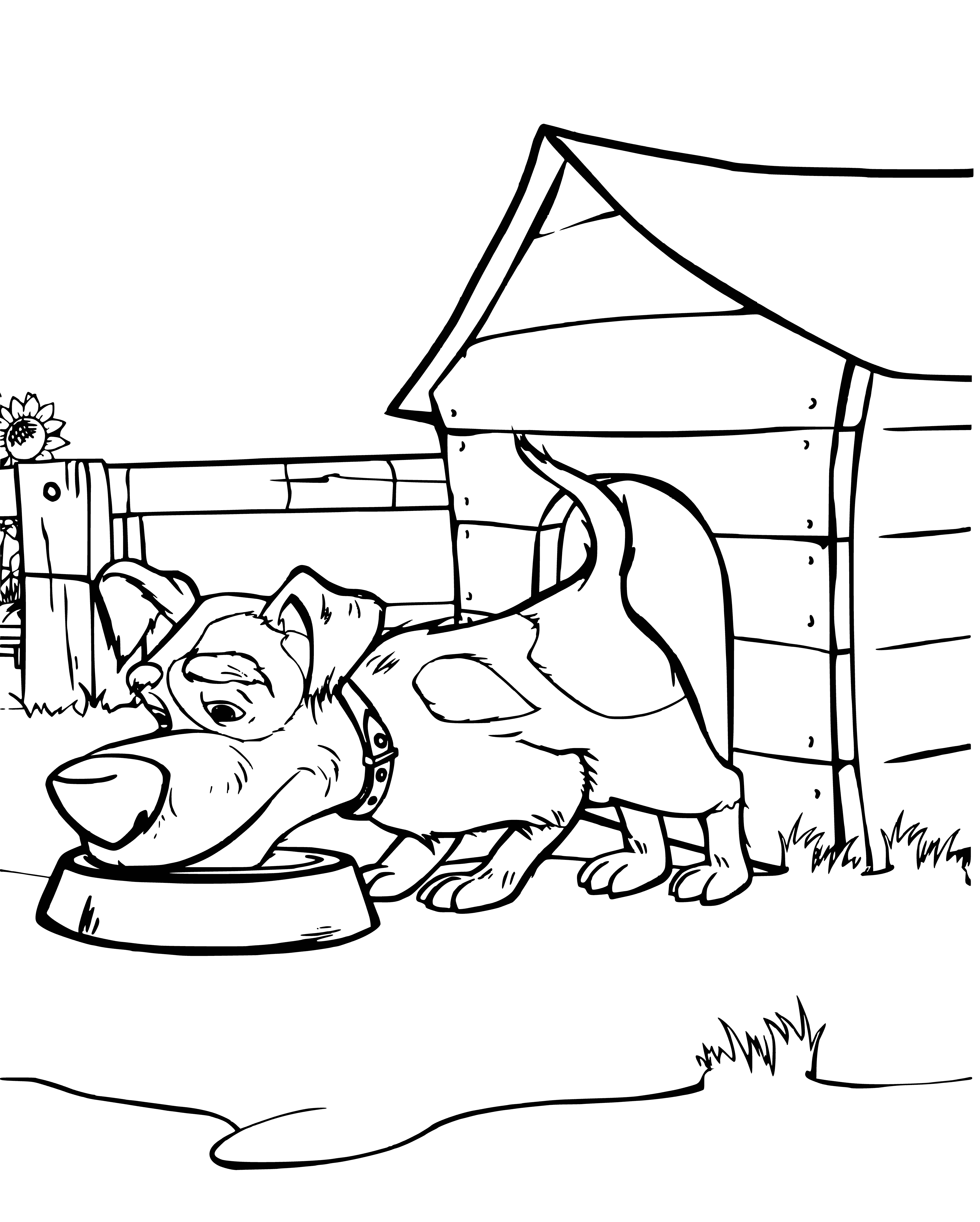 coloring page: Masha is a little girl petting a small black and white puppy. She has blonde hair, a red dress and red scarf. The pup is in a kennel and nearby is a big brown bear wearing a blue scarf.