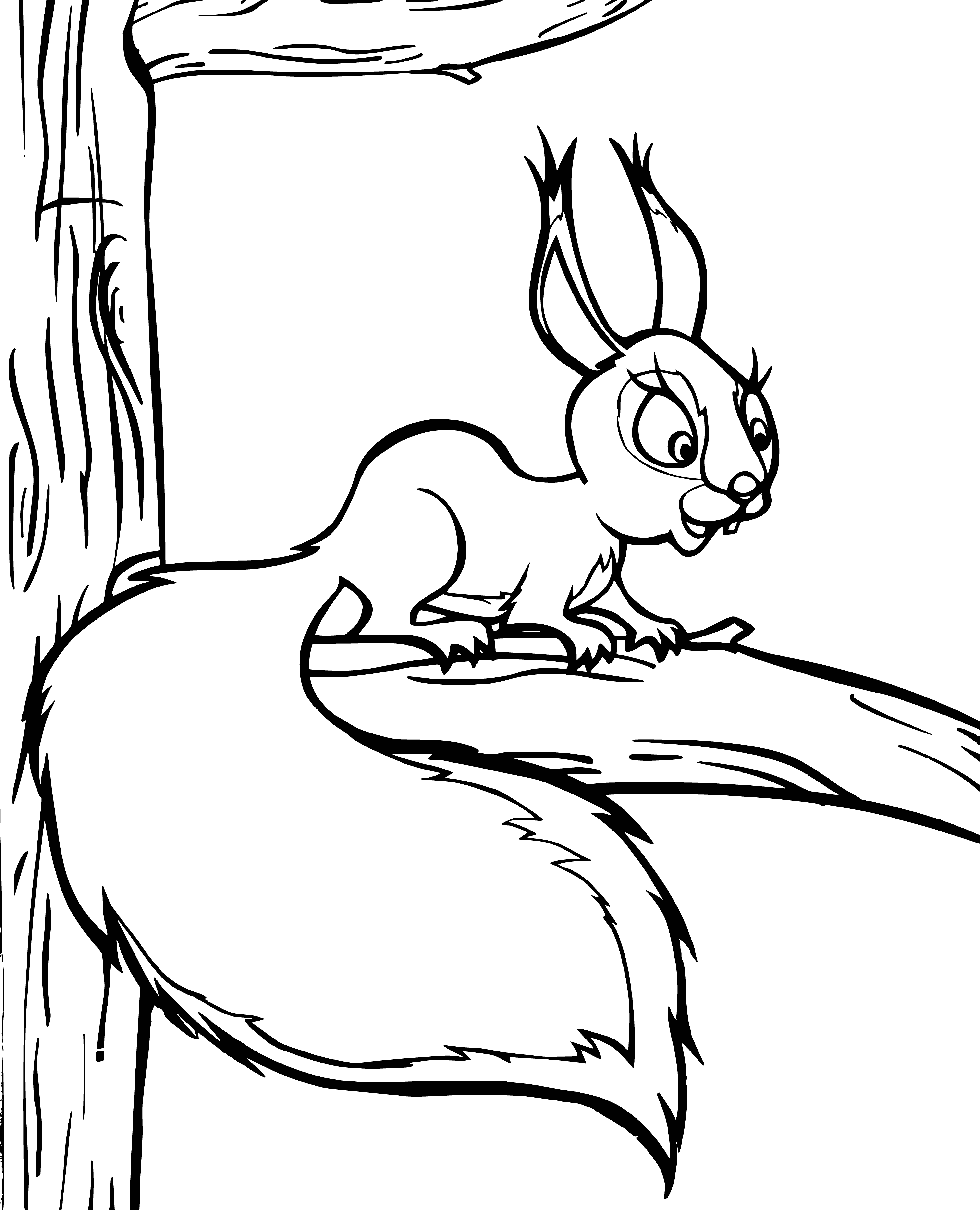coloring page: A friendly squirrel perched atop an acorn, its tail wrapped and ears perked, looks up with big brown eyes.