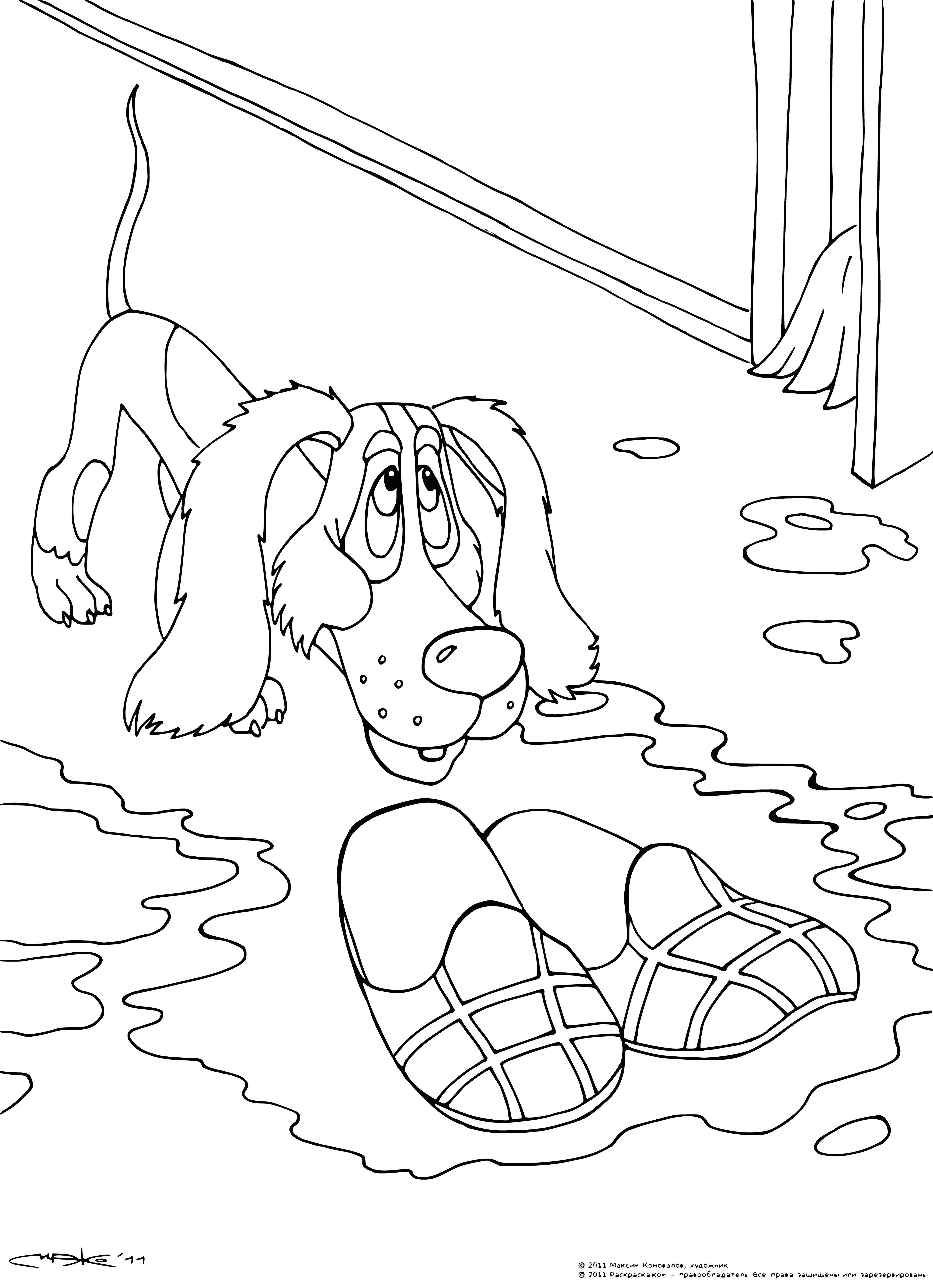 coloring page: Dog visits home and brings slippers, enjoying itself as it strolls around.