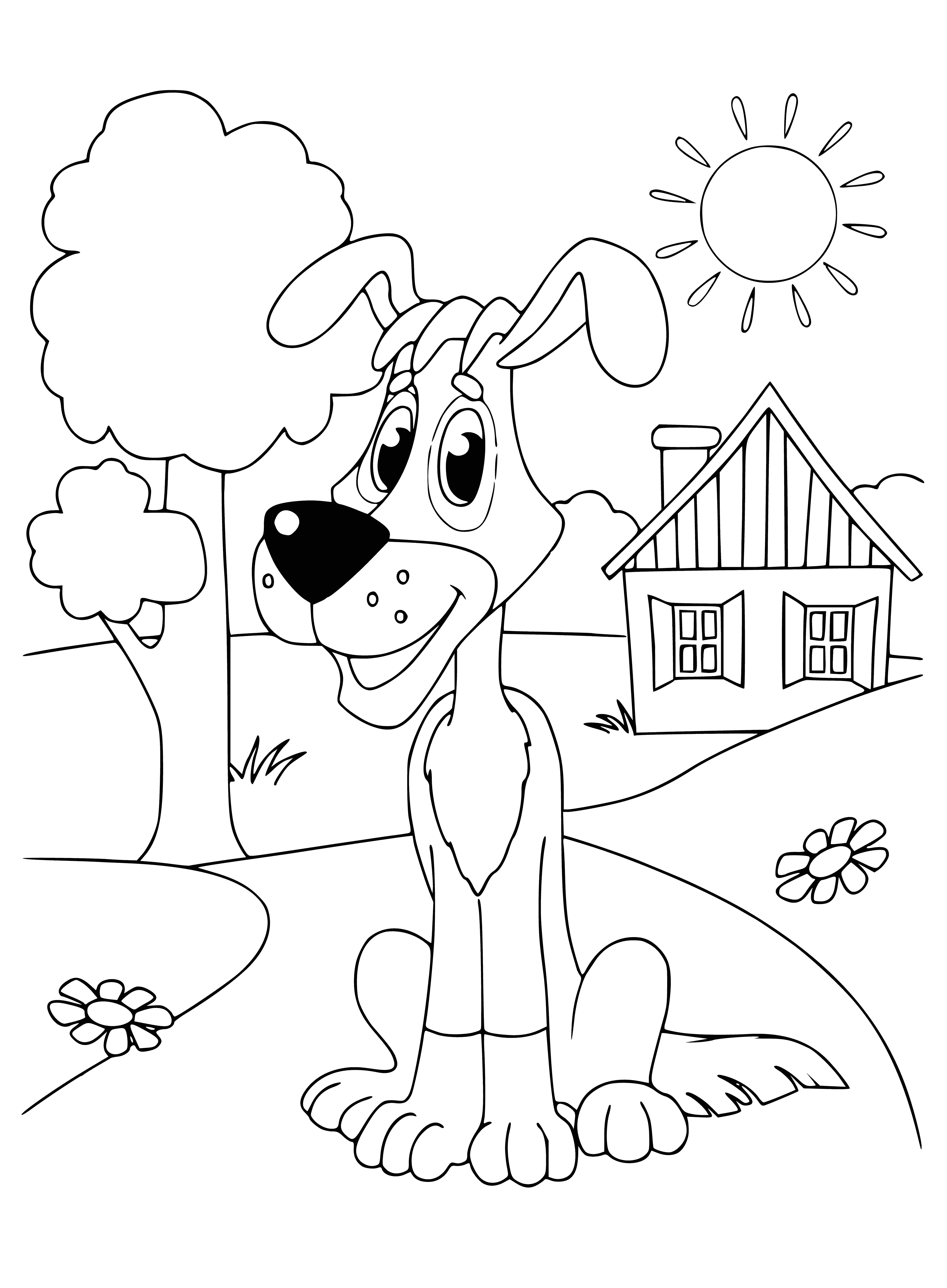coloring page: Dog in coloring page: brown/white, facing left, blue background.