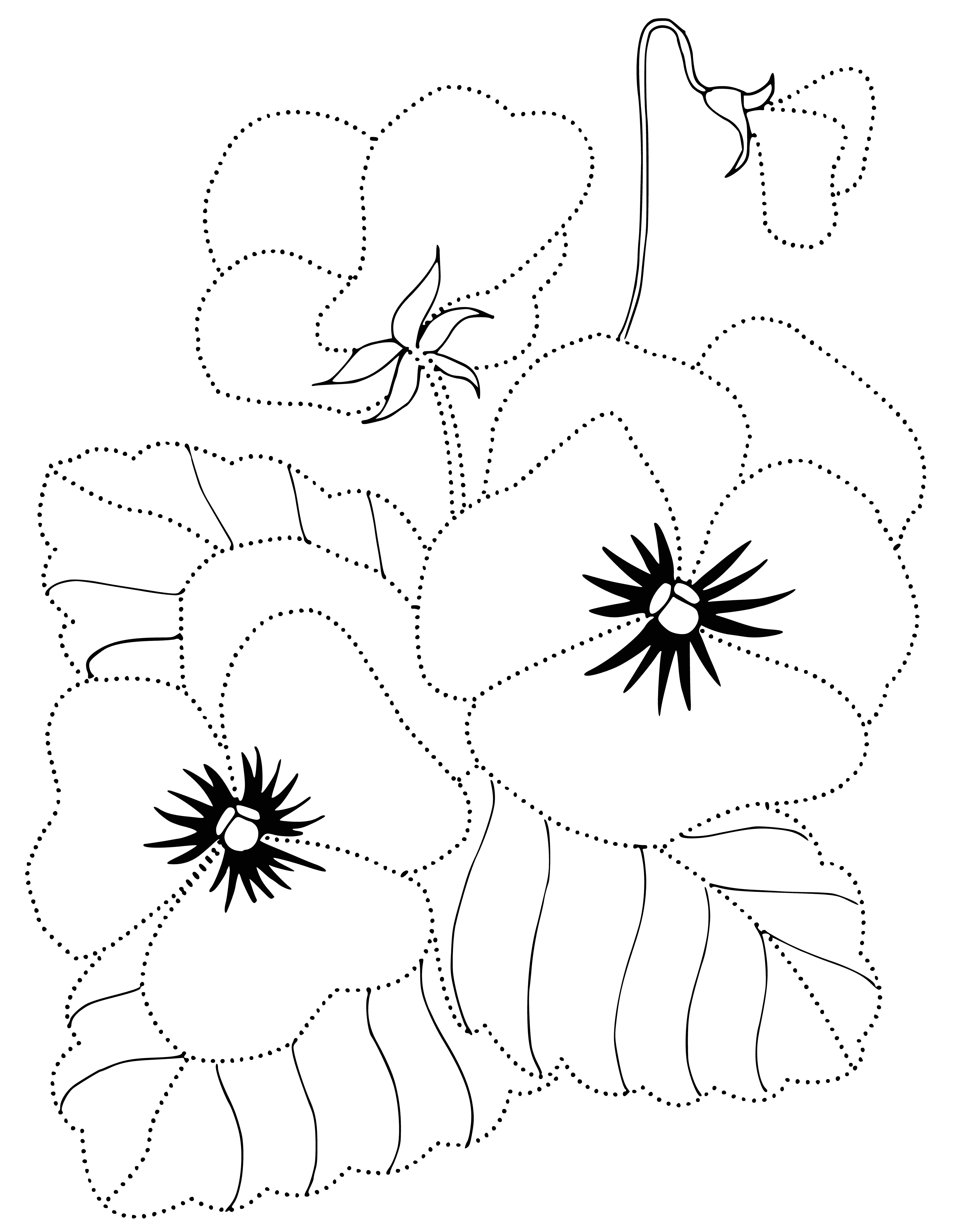 coloring page: Vividly colored flowers in profile, petals lightening to ruffled edges, feat. yellow stamen & sharply-toothed deep green leaves.