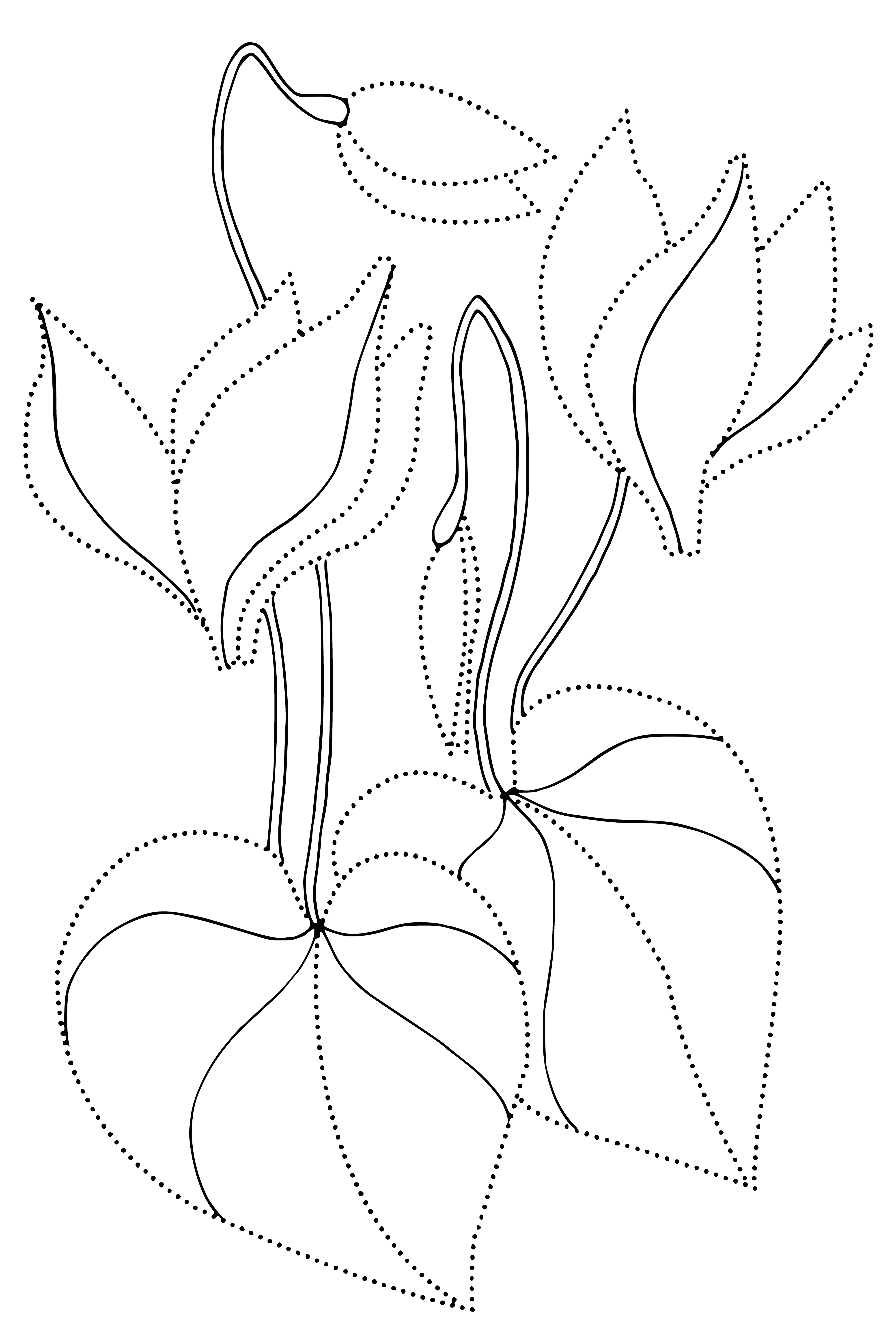 coloring page: Water lilies bloom floating flowers with white petals & yellow centres, plus floating leaves.