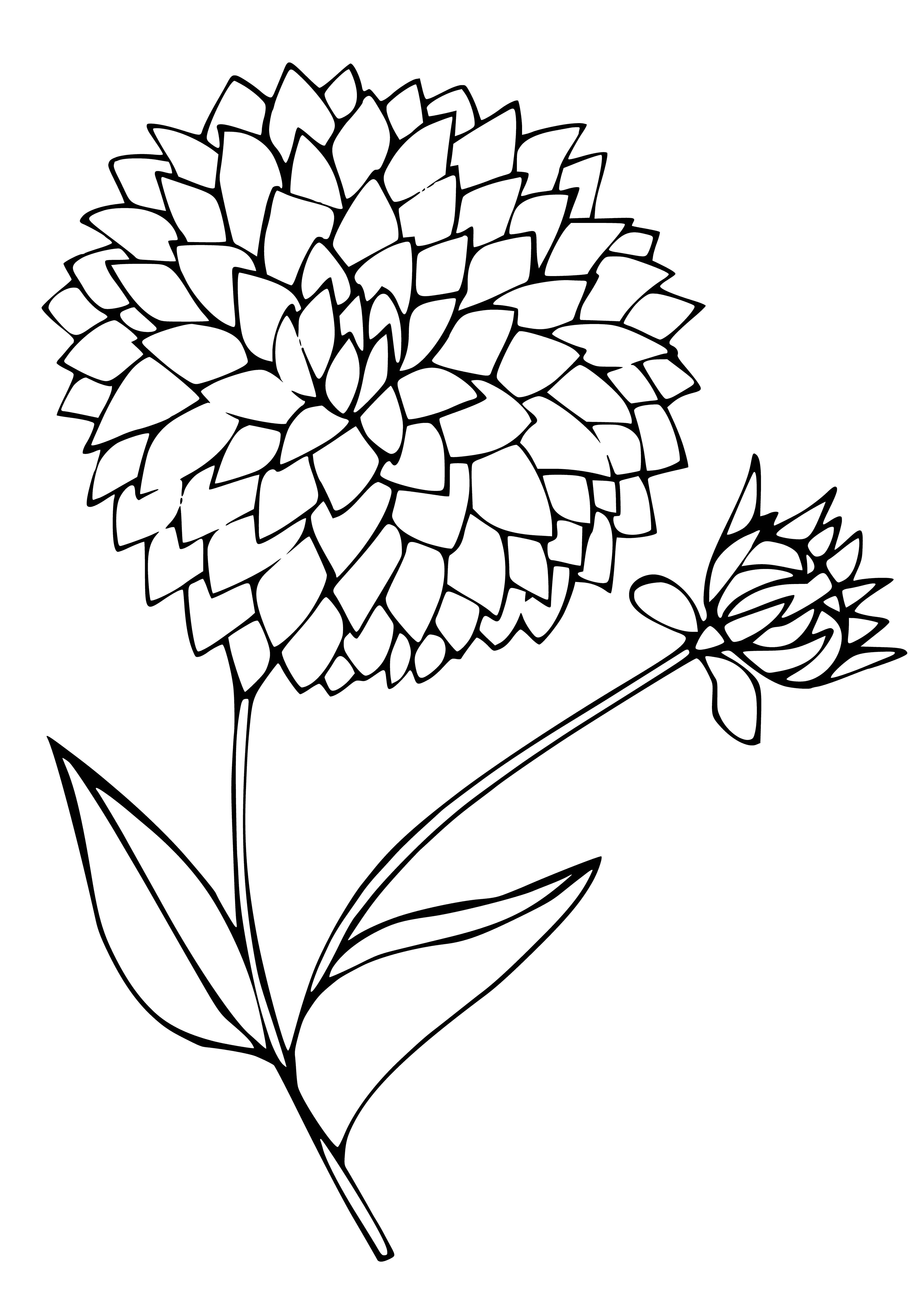 coloring page: A flower made up of small white petals with yellow tips, and a yellow center, surrounded by green leaves and a stems. #flower #coloringpage