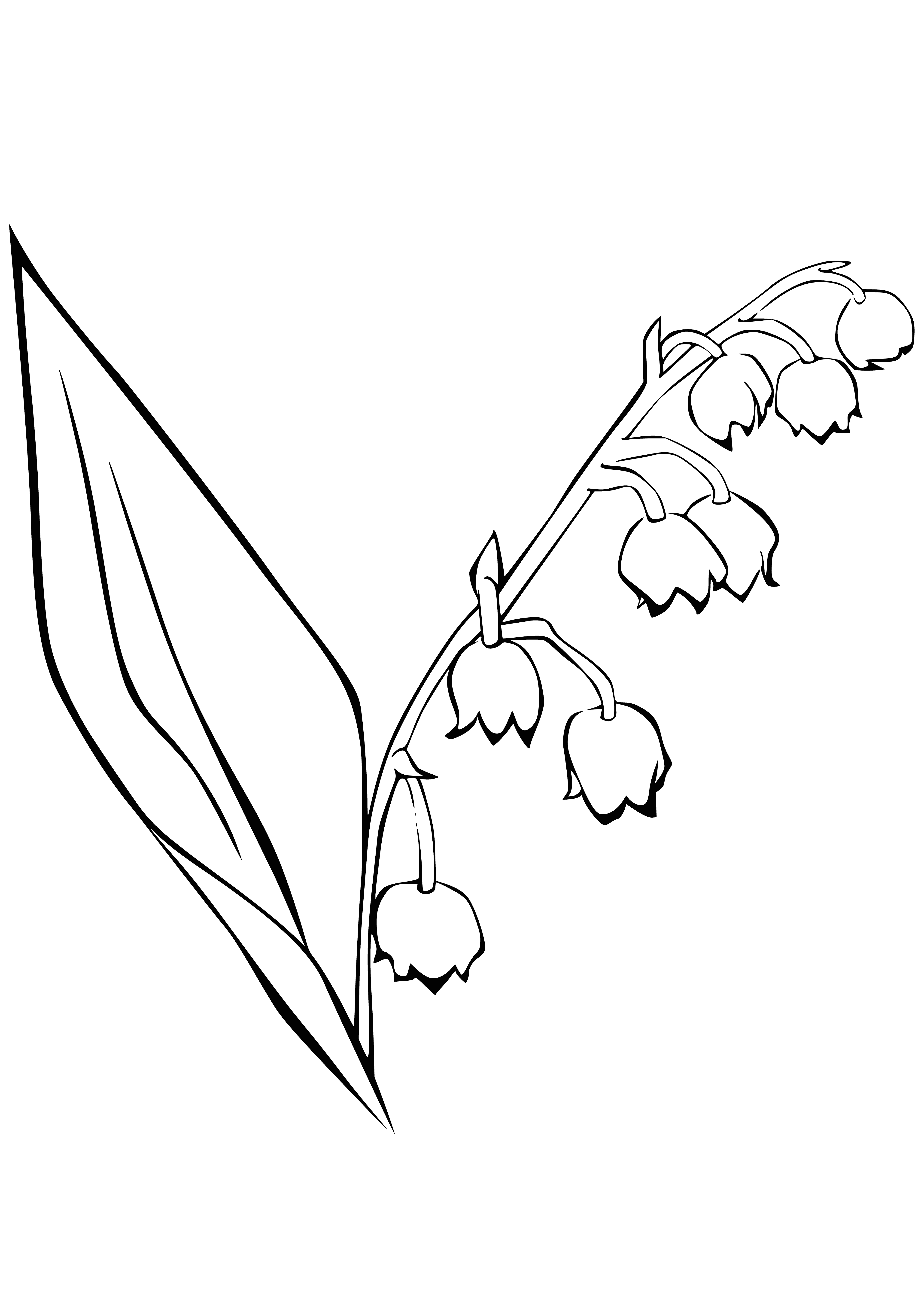 coloring page: A white lily surrounded by green leaves blooms with small white flowers in the center of this vibrant coloring page. #Coloring