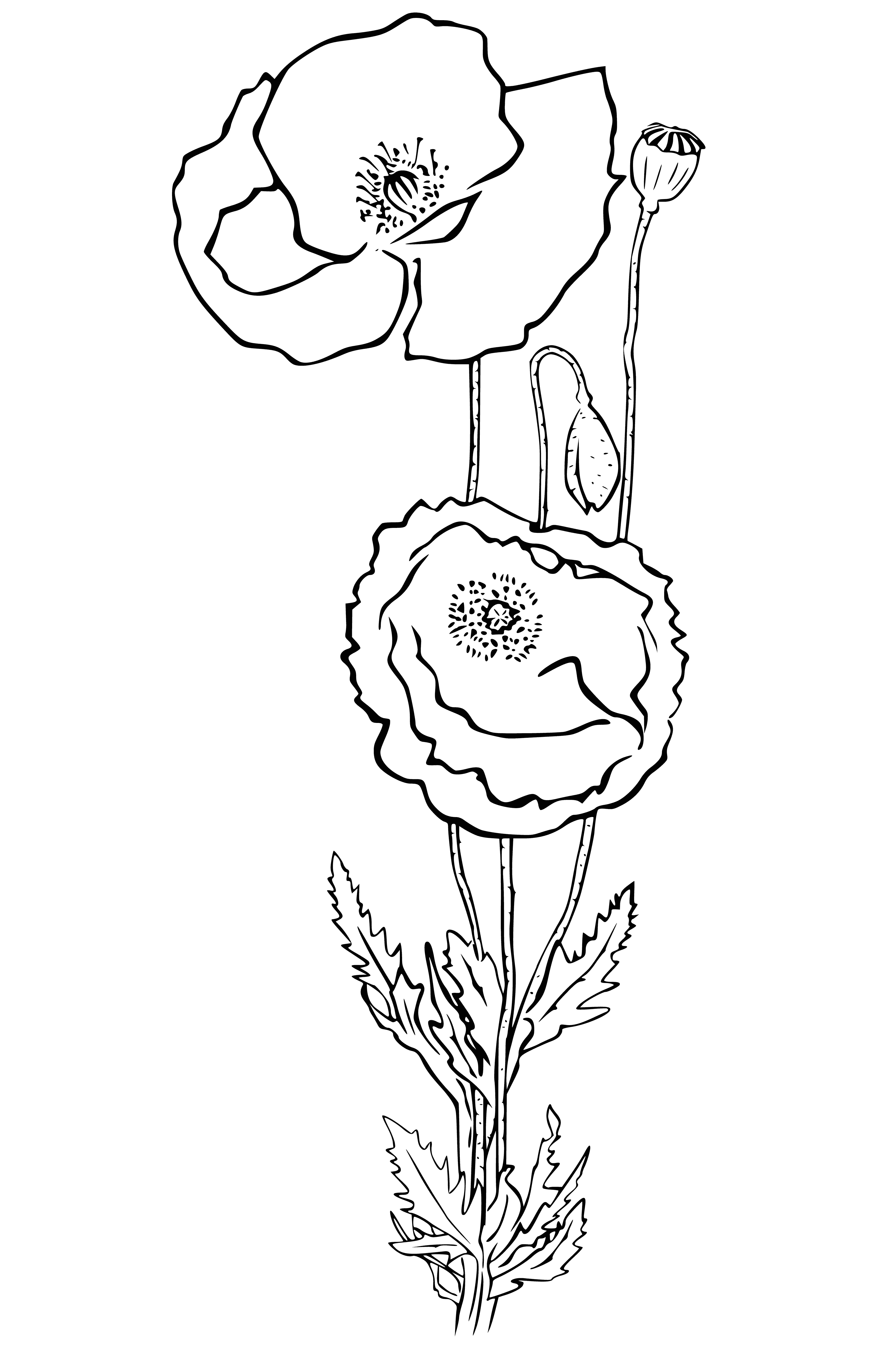 coloring page: A vase of roses, daisies, & lilies colors a white tablecloth on a table.