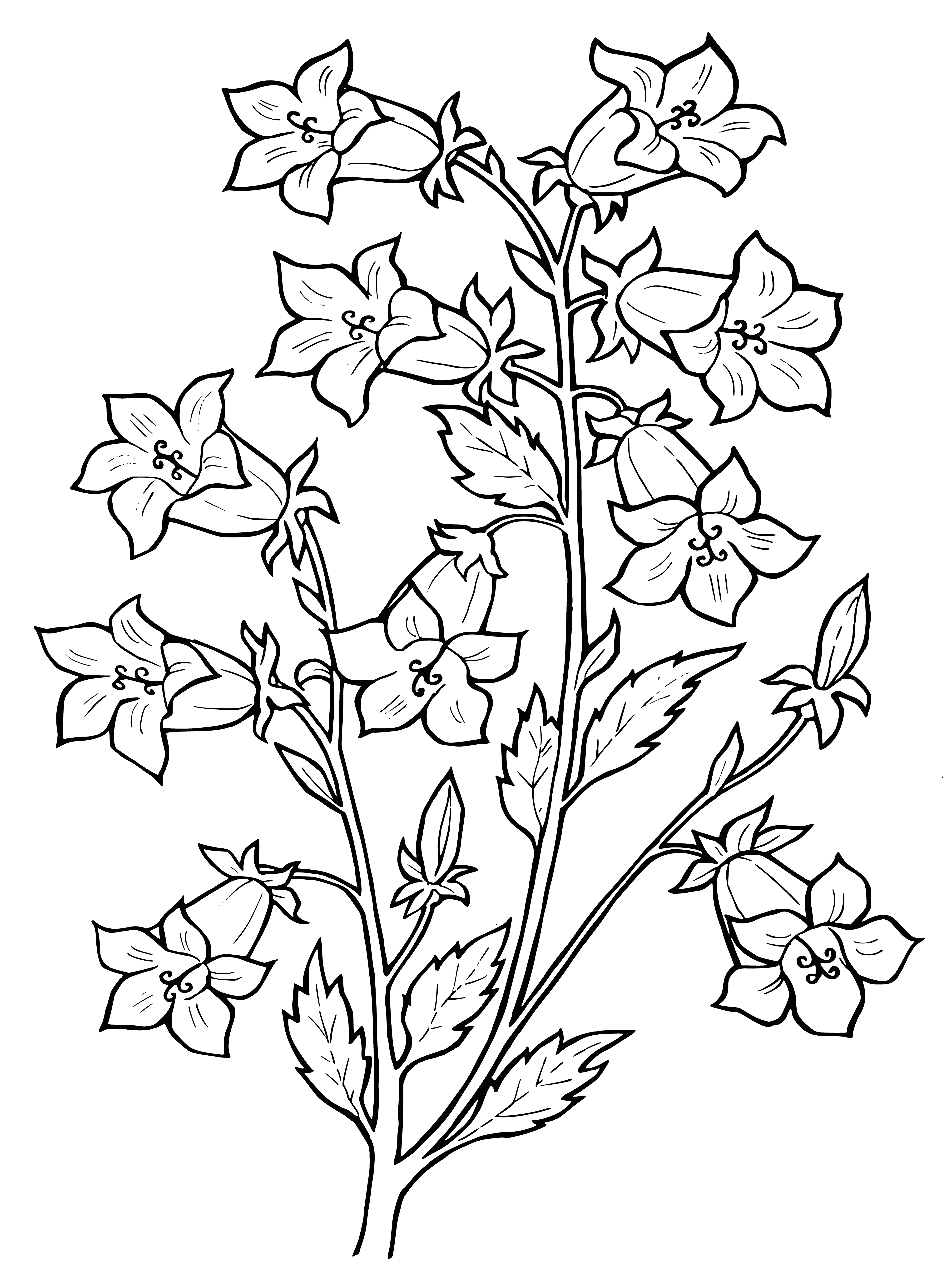 coloring page: Delicate bell flower symbolizes beauty & elegance, w/ white petals & green stem.