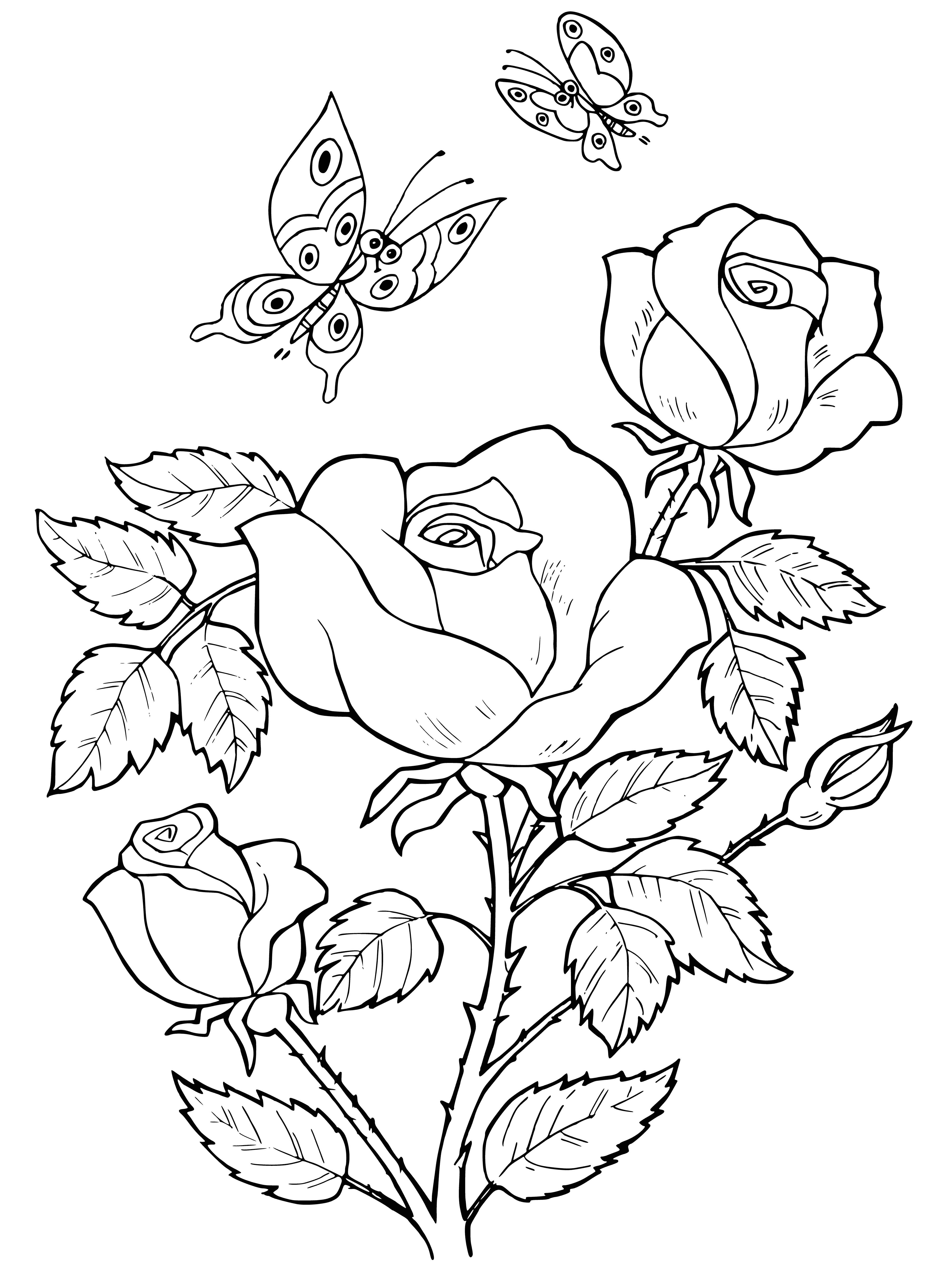 coloring page: Roses are thorned bushes with cup-shaped flowers, usually red but can also be pink, white, or purple w/a yellow center.