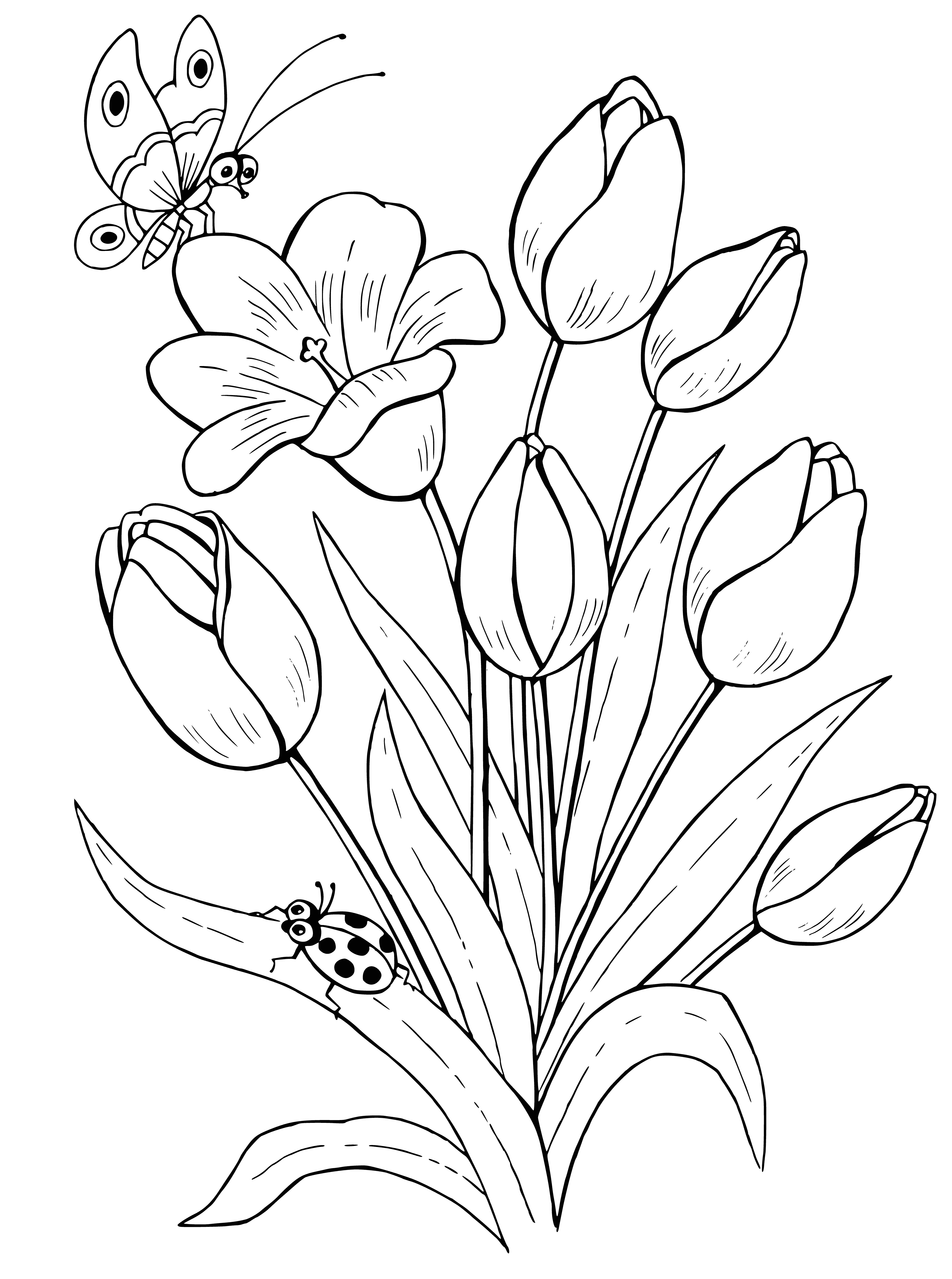 coloring page: Tulips are Eurasian flowers with bright, pointed petals, thin stems, and long, thin leaves. Commonly found in Netherlands.