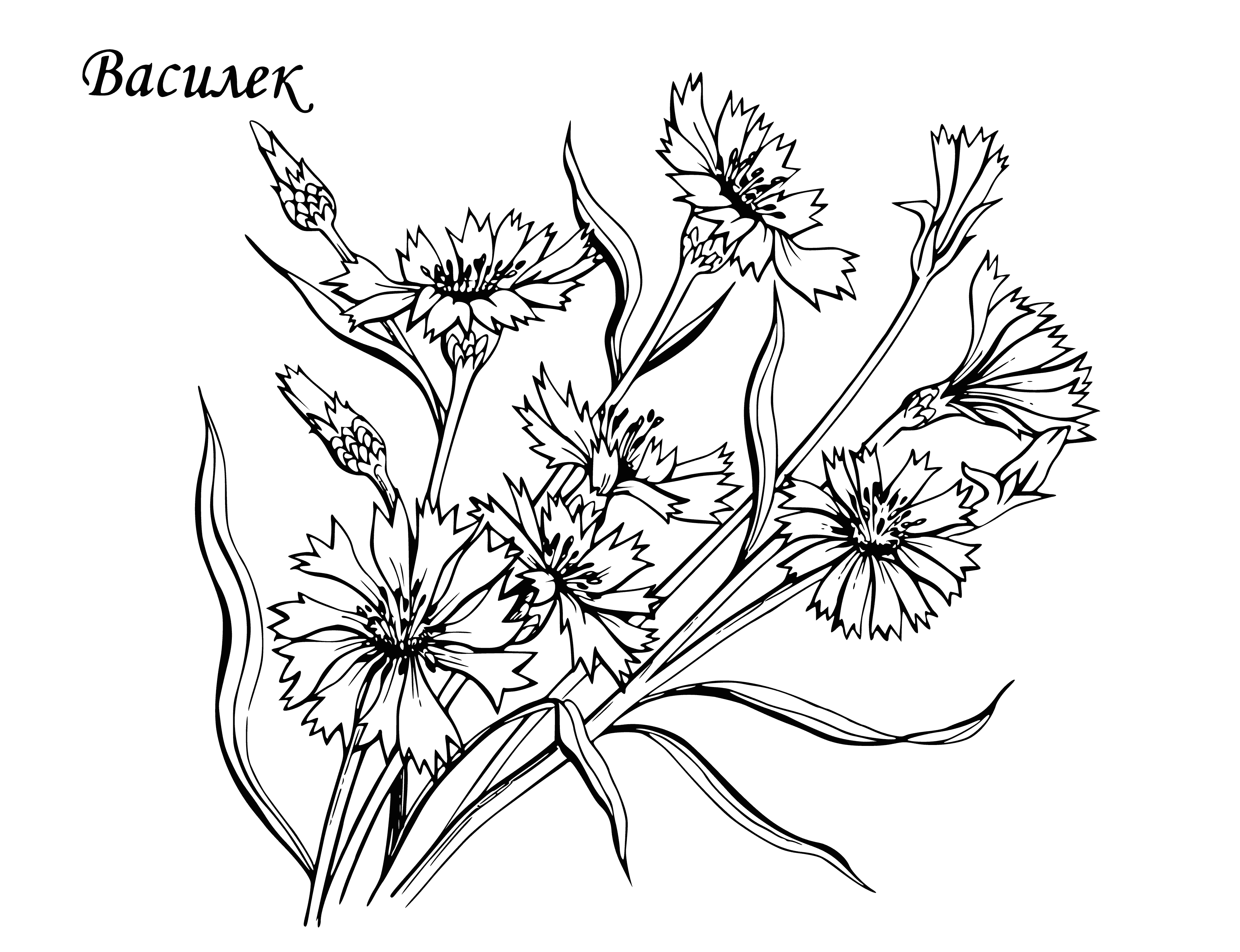 coloring page: A light blue flower with a yellow center, petals slightly curved & pointy. Green leaves around & light green bg. #coloringpage