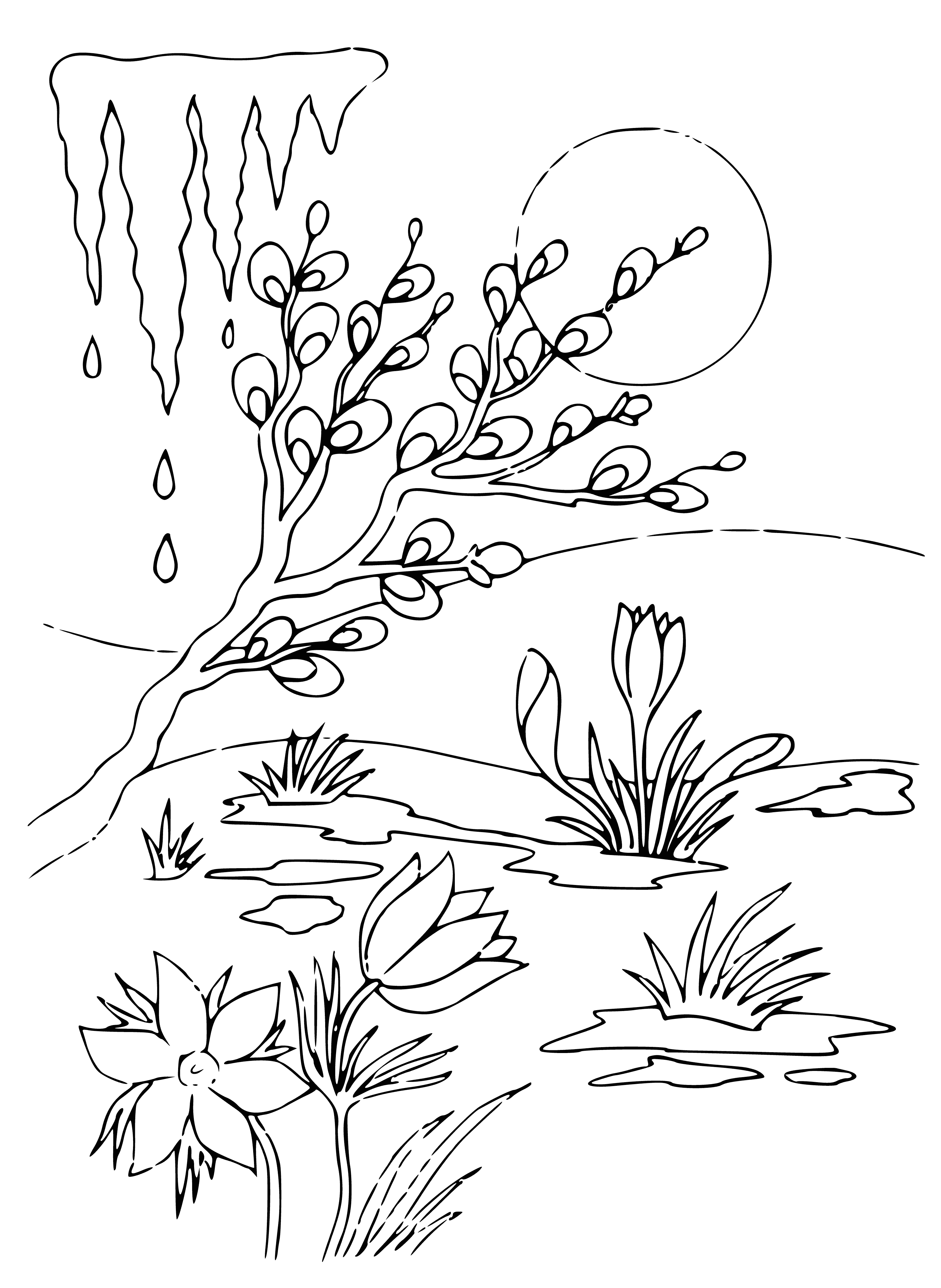 coloring page: Spring is here! The sky's blue, snow's melting, trees budding, flowers blooming, birds singing, butterflies fluttering, bees buzzing, and frogs croaking. #springtime