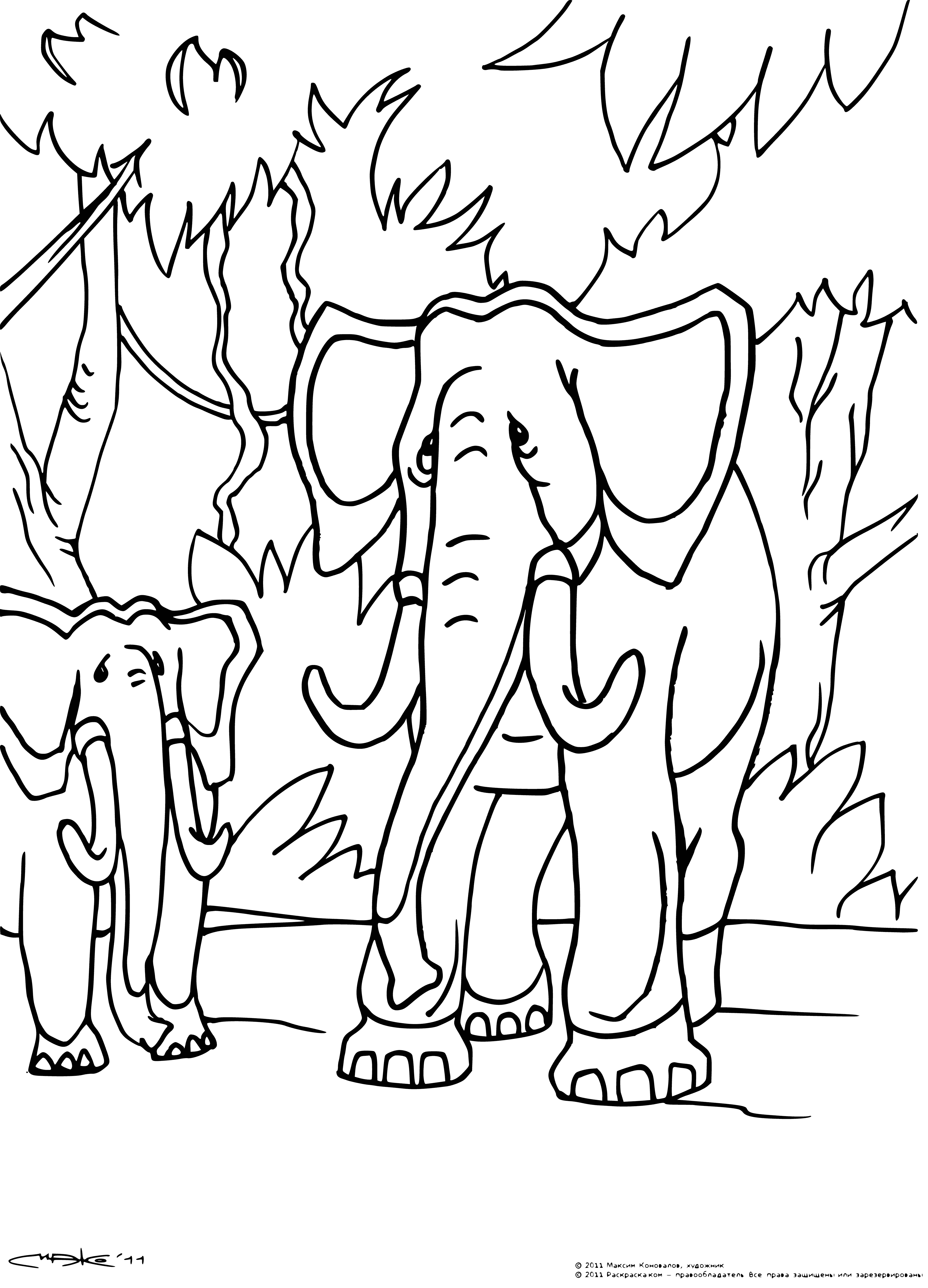 coloring page: 4 elephants around tree, 2 trunks up, 1 spraying water, 1 watching.