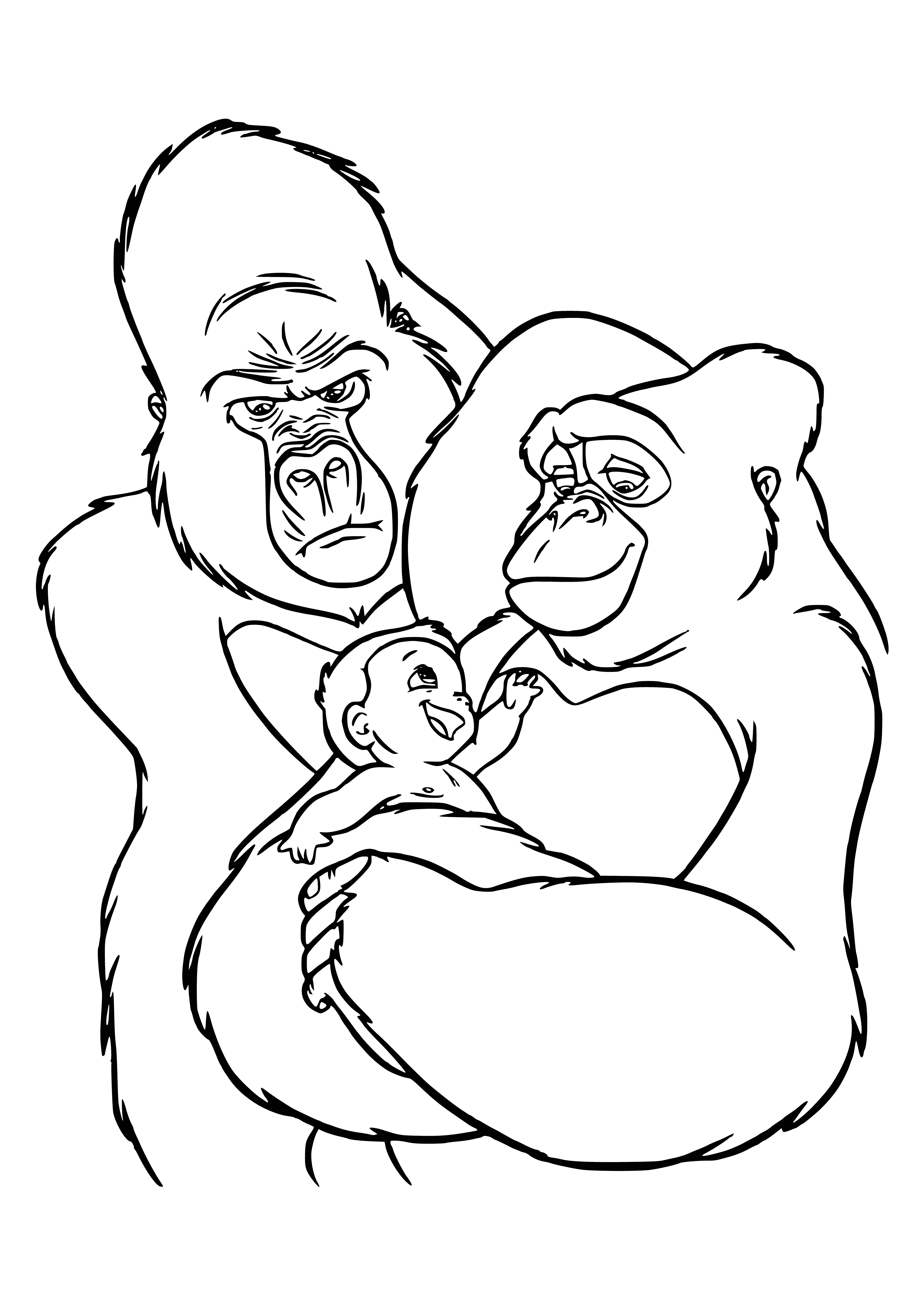 coloring page: A family of gorillas sits contentedly on a tree branch, the parents embracing while their child clings to the mother's fur.