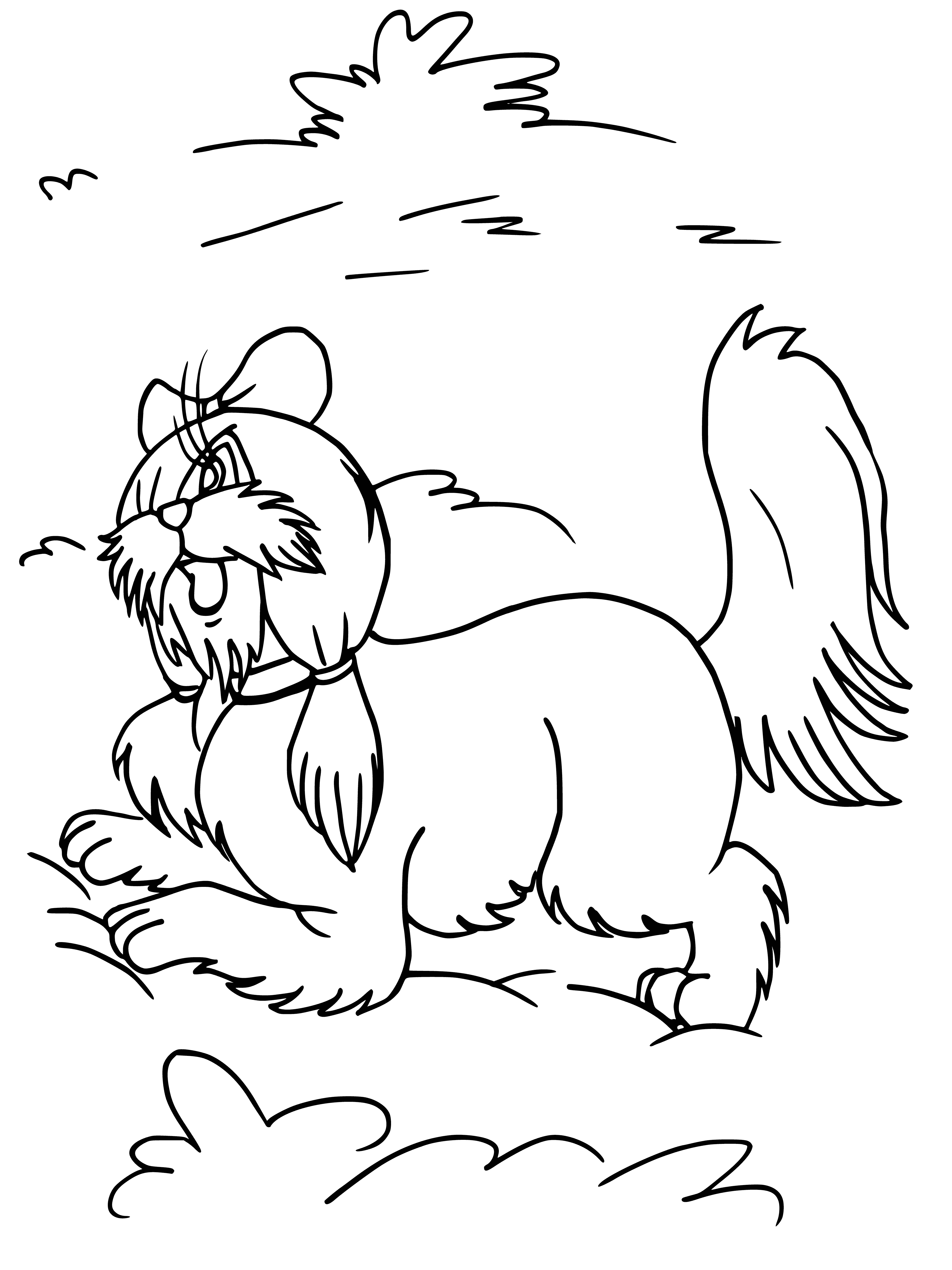 coloring page: Woman and her small tan and white pup, wearing boots, snuggle up in her light dress and crown.