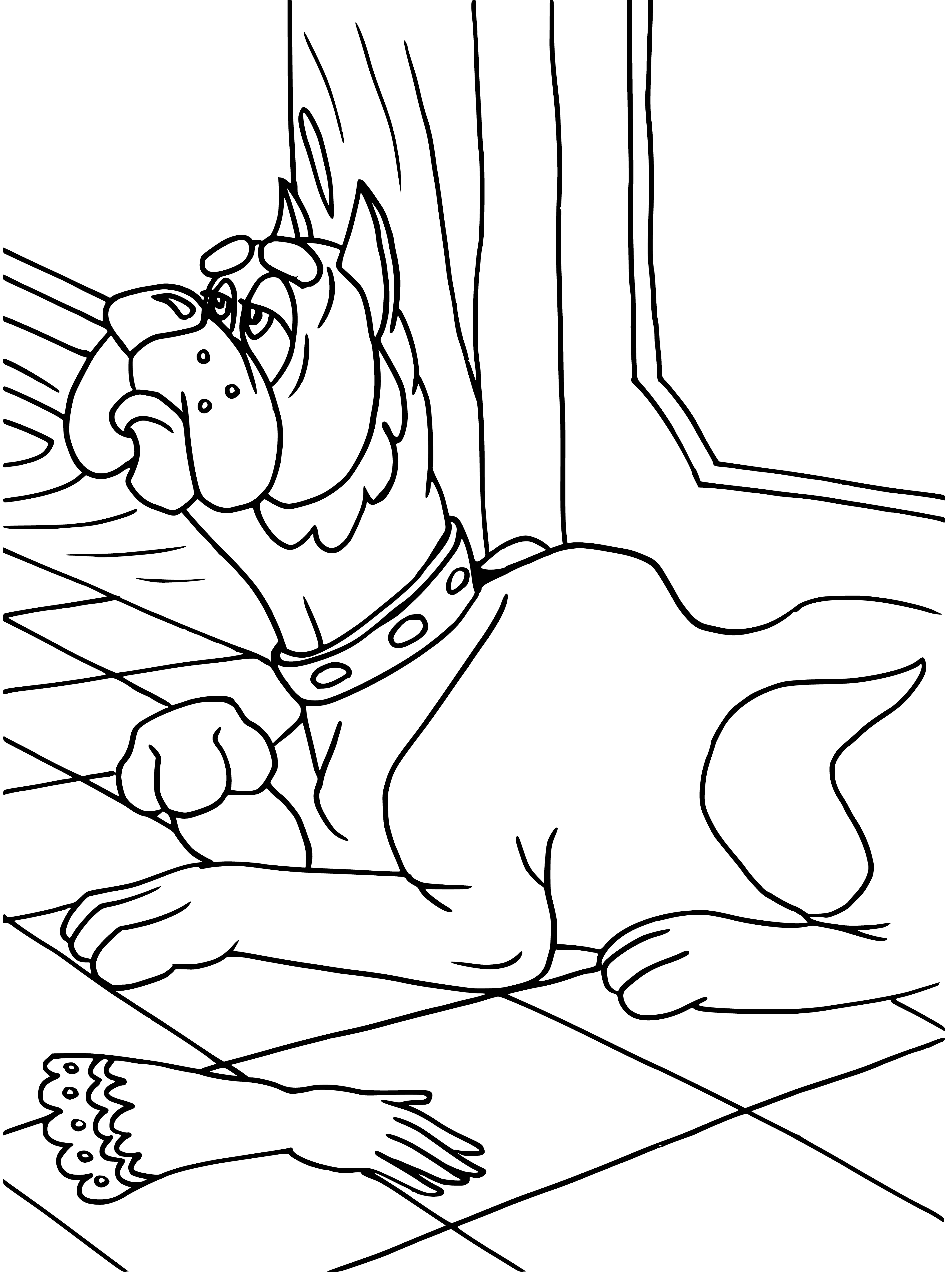 coloring page: Tan & white dog with paw on red pillow wearing green w/ gold tag & B. Behind is green & gold shield. #dog #shield #pillow #collar