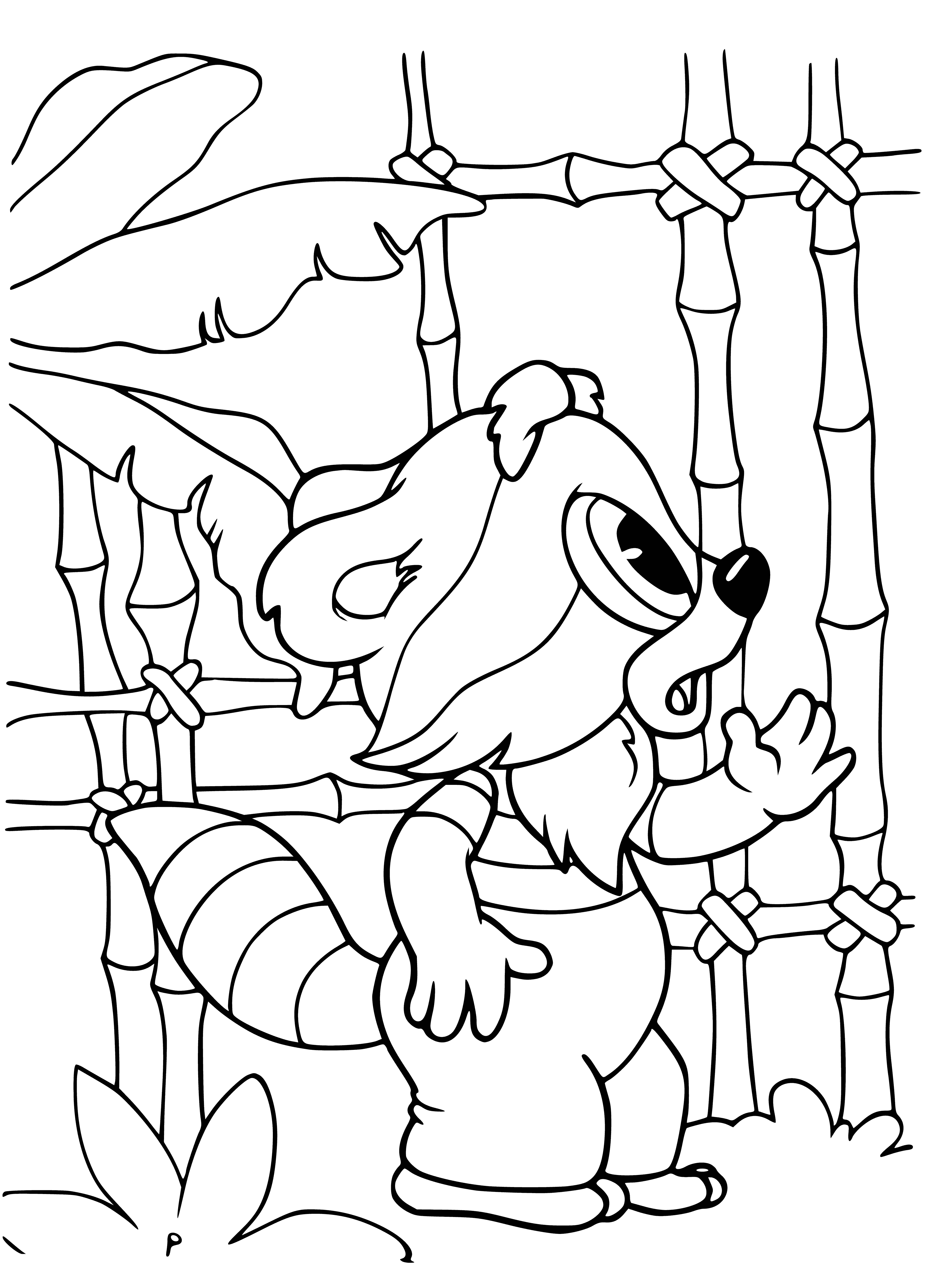 coloring page: Little raccoon stands on hind legs smiling, brown & white fur, long tail w/ black & white stripes.