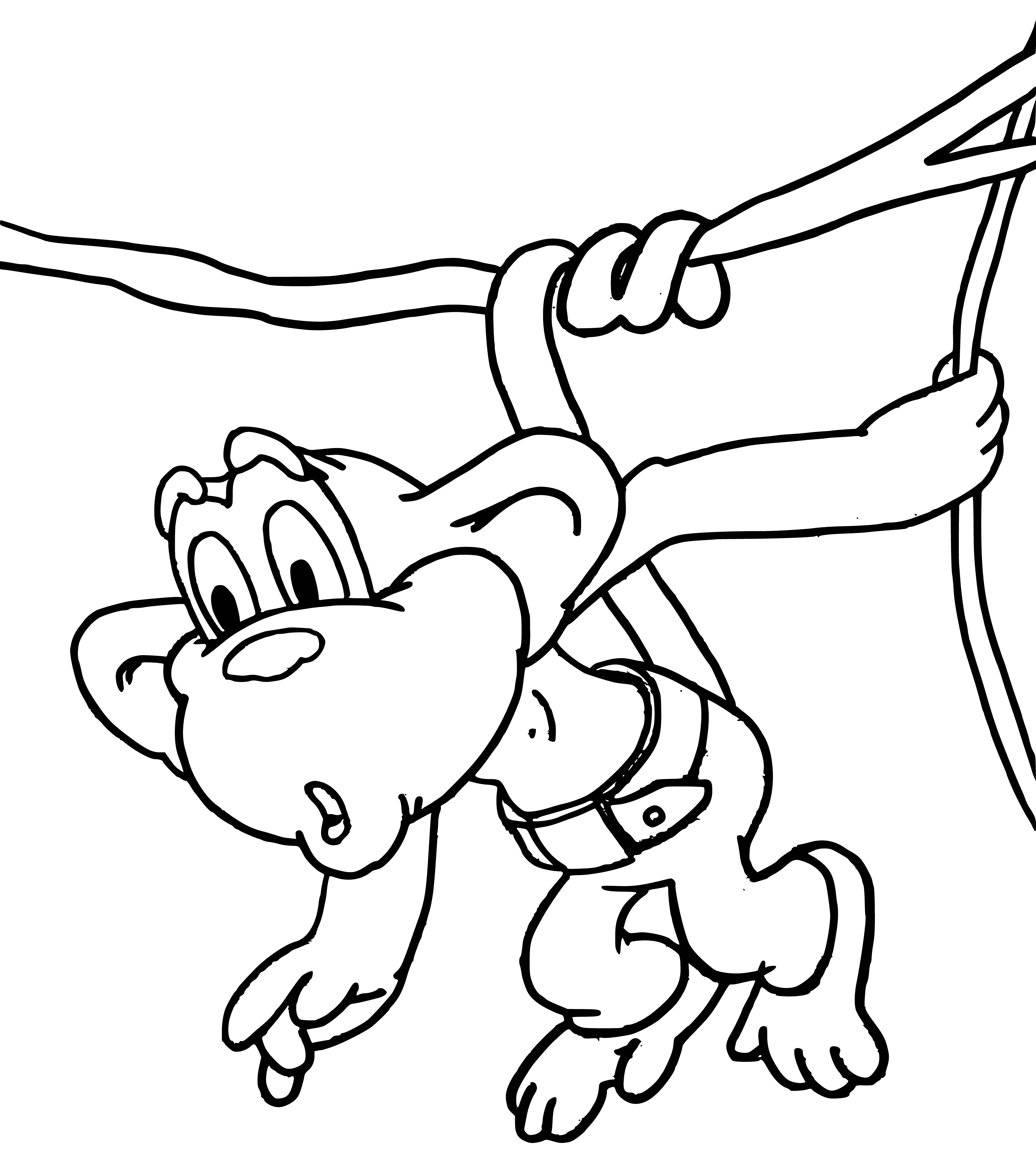 coloring page: The small raccoon peers from behind the large monkey, its fur dark and mask white, eyes wide with curiosity.