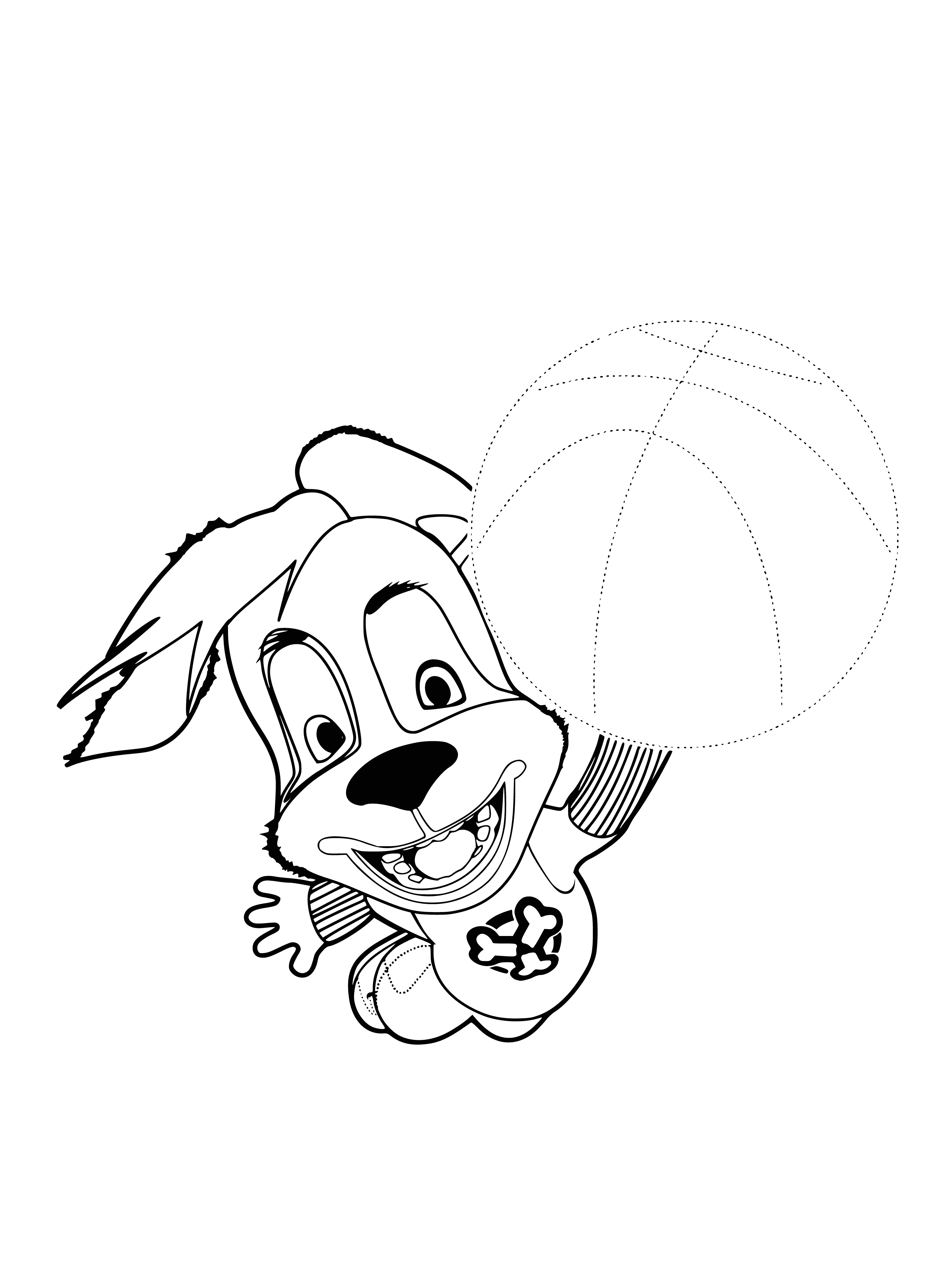 Friend Barboskin coloring page