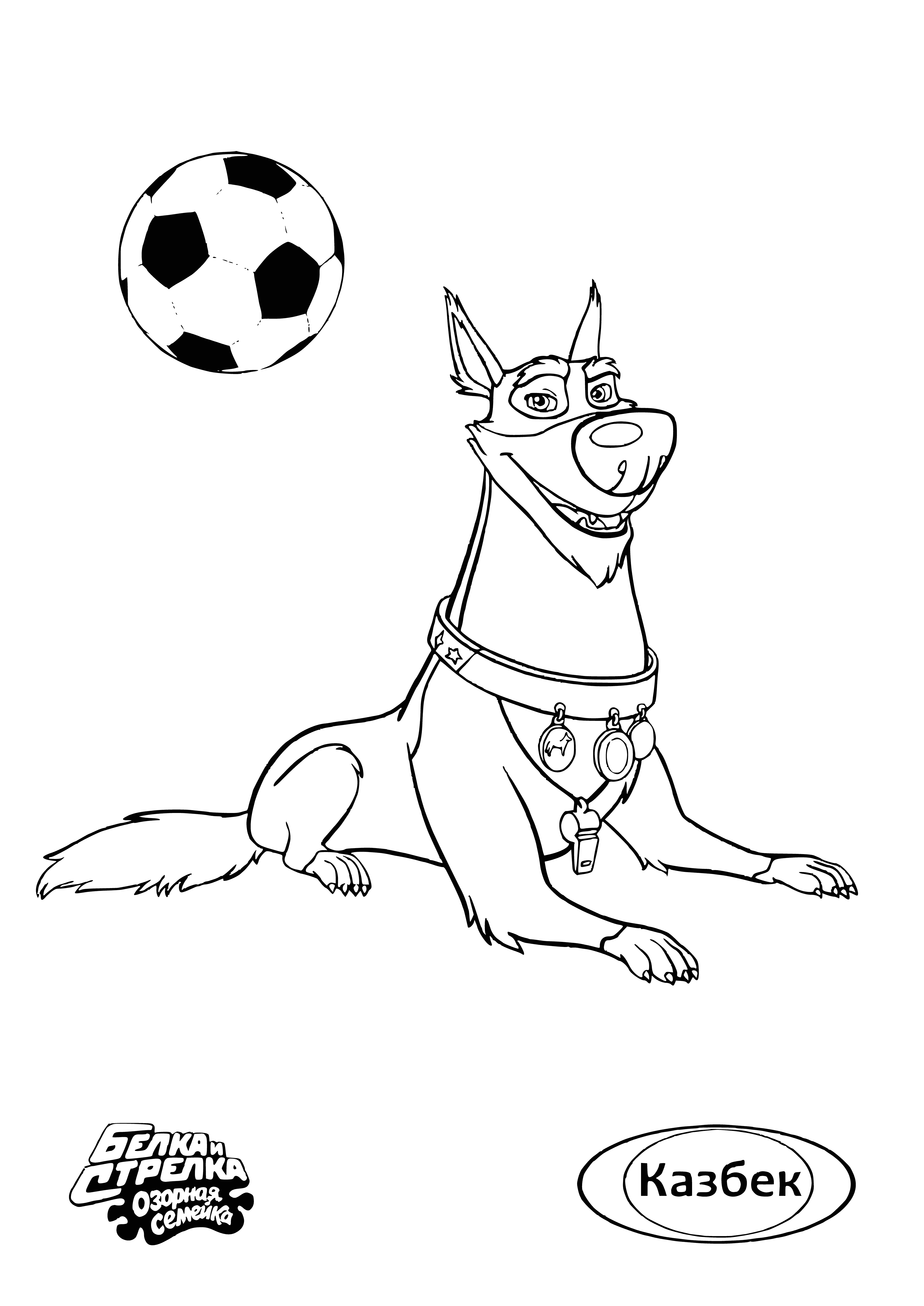 coloring page: Happy shaggy white dog with black spots surrounded by playful brown and white pups, against a mountain landscape.