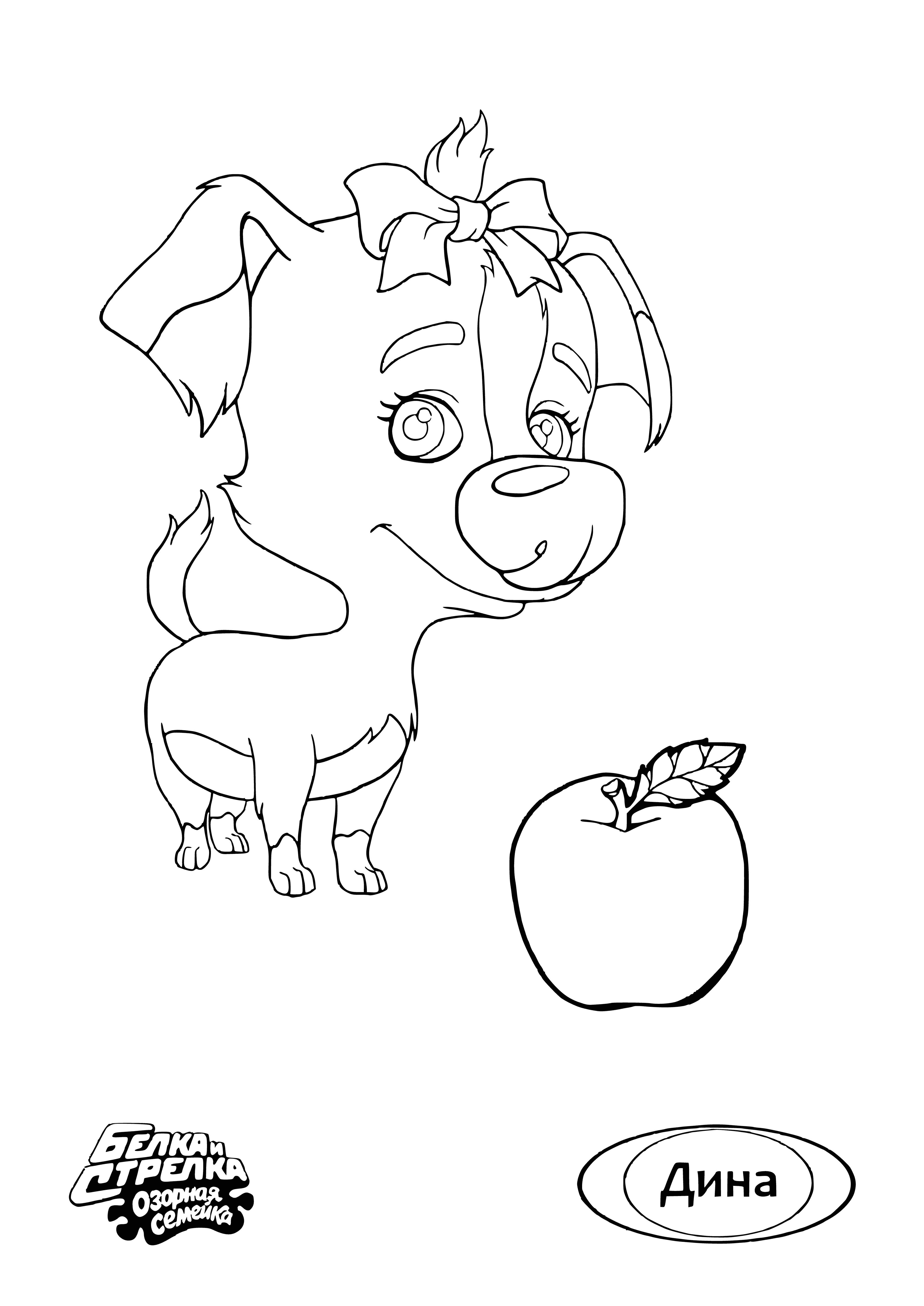 coloring page: A dog & cat sitting on a couch, with the dog holding an apple in its mouth. The cat looks mischievous. Seems like they're having a fun time!