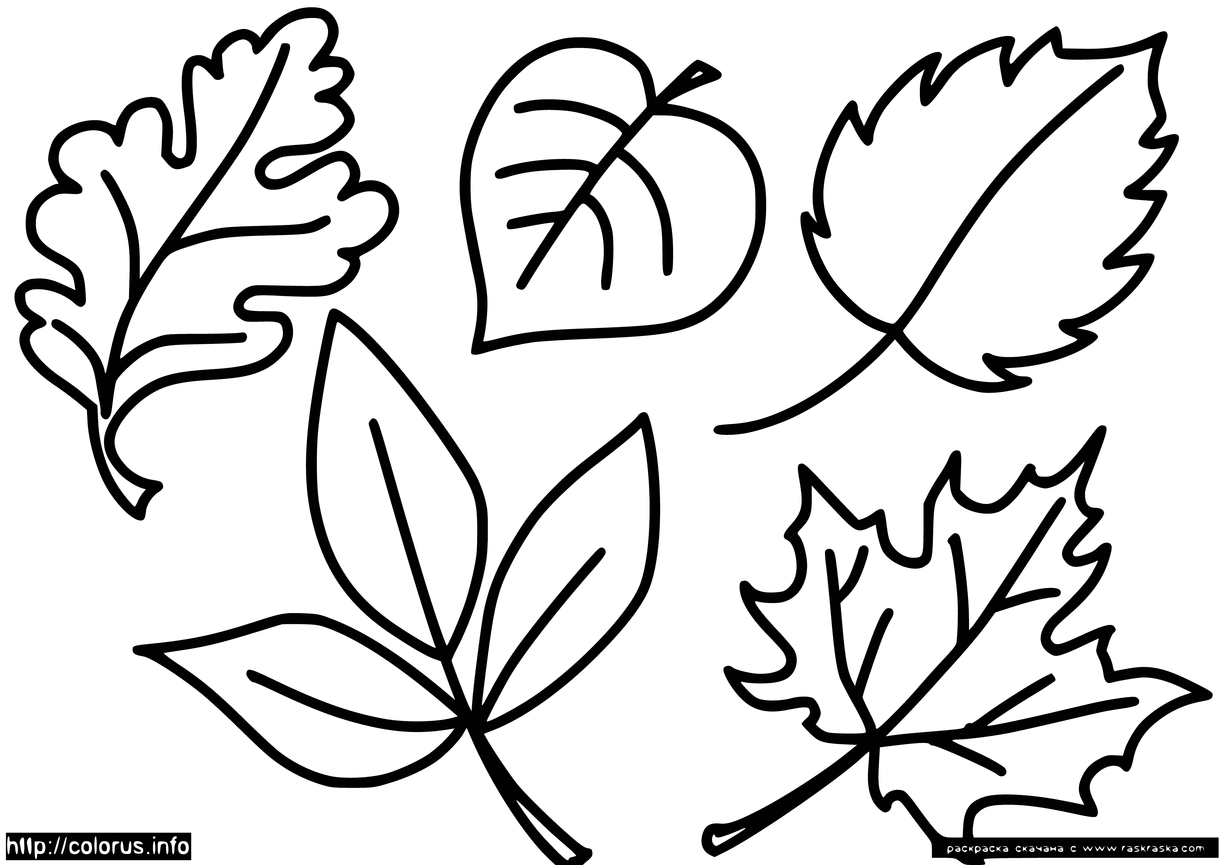 coloring page: Leaves of different colors fall from a tree: yellow, orange, and brown.