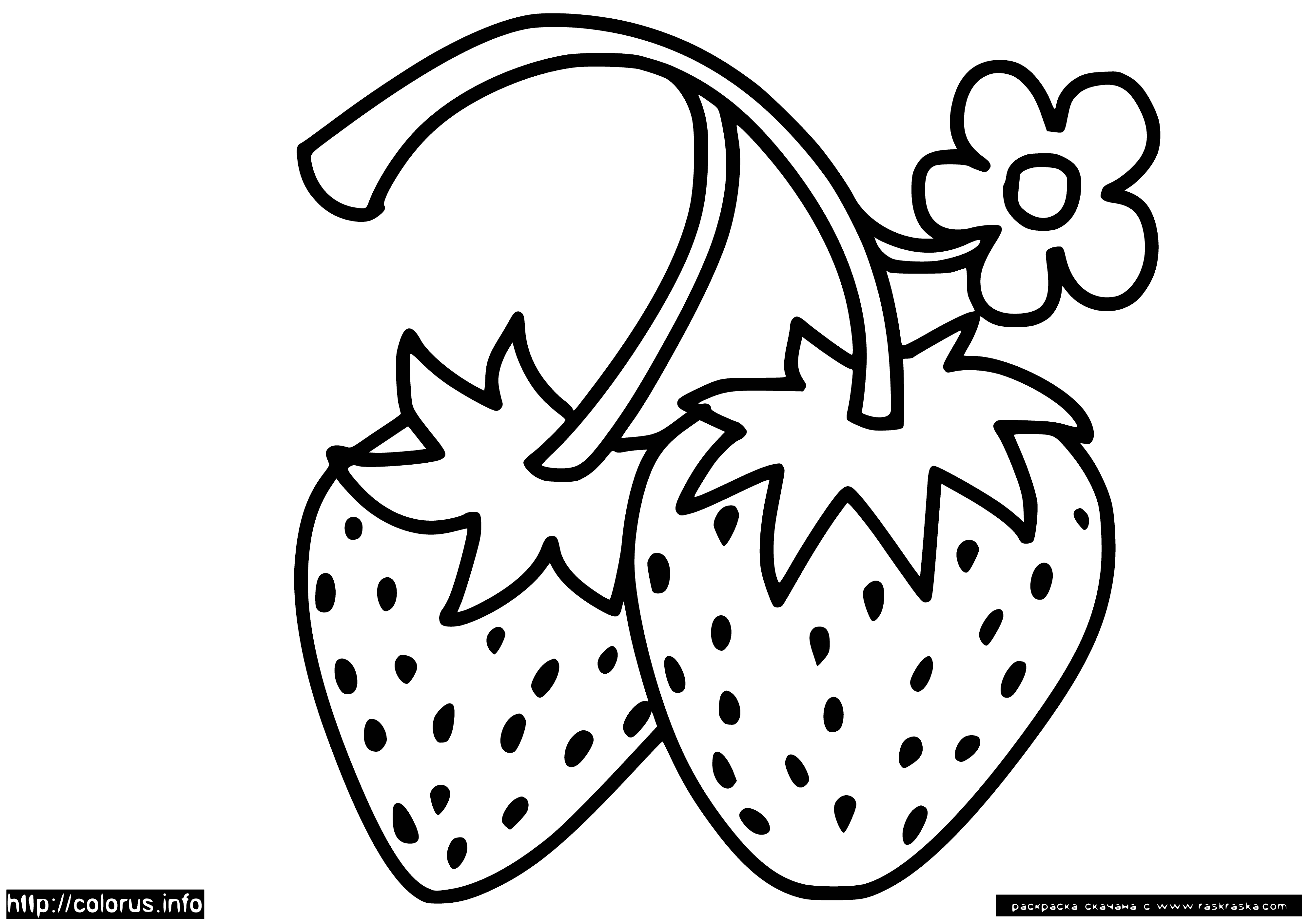 coloring page: A red strawberry with white seeds and green leaves.
