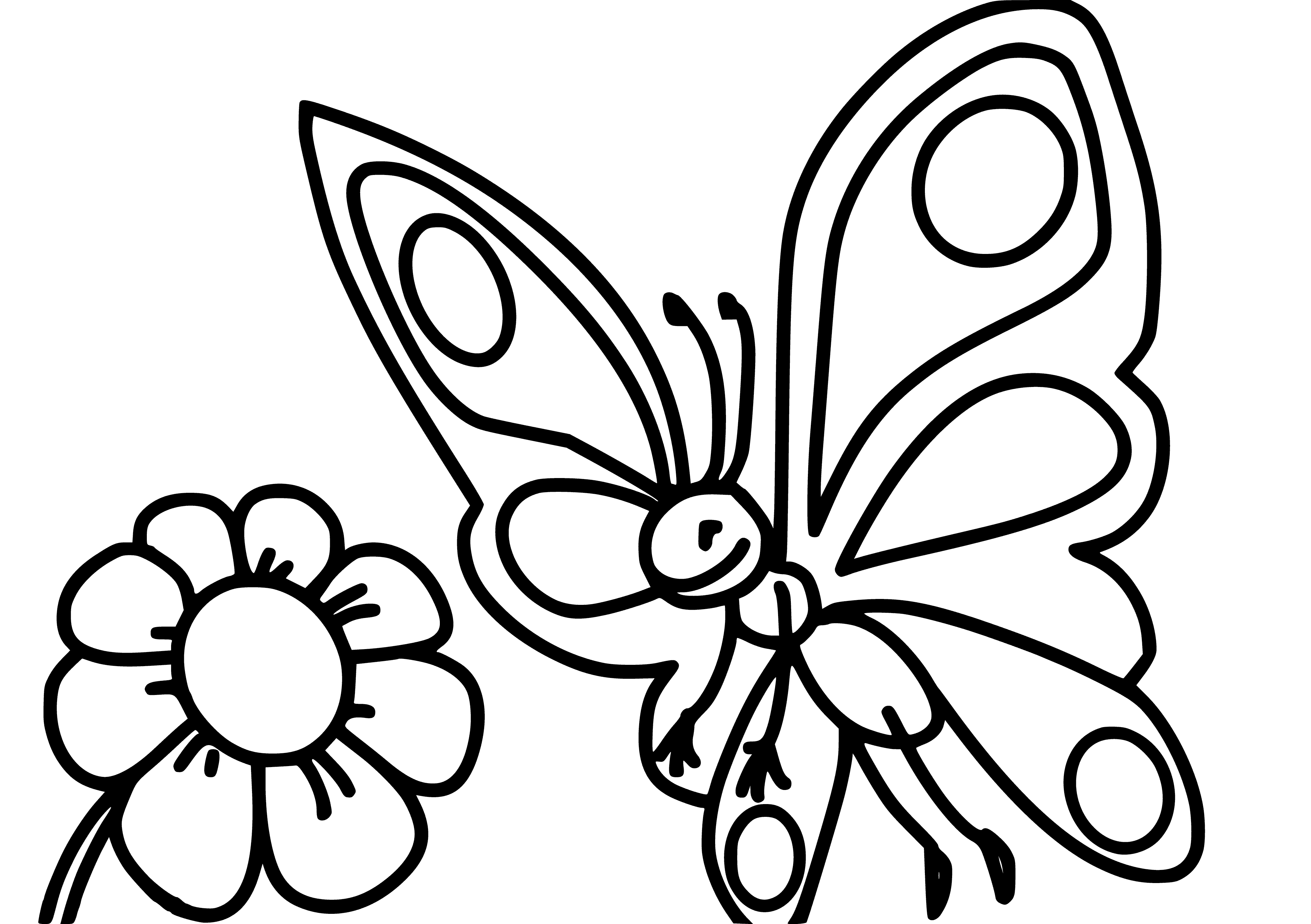 coloring page: Butterfly of light/dark blue and white atop yellow/orange flower, curled petals and green center; wings spread and body tilted.