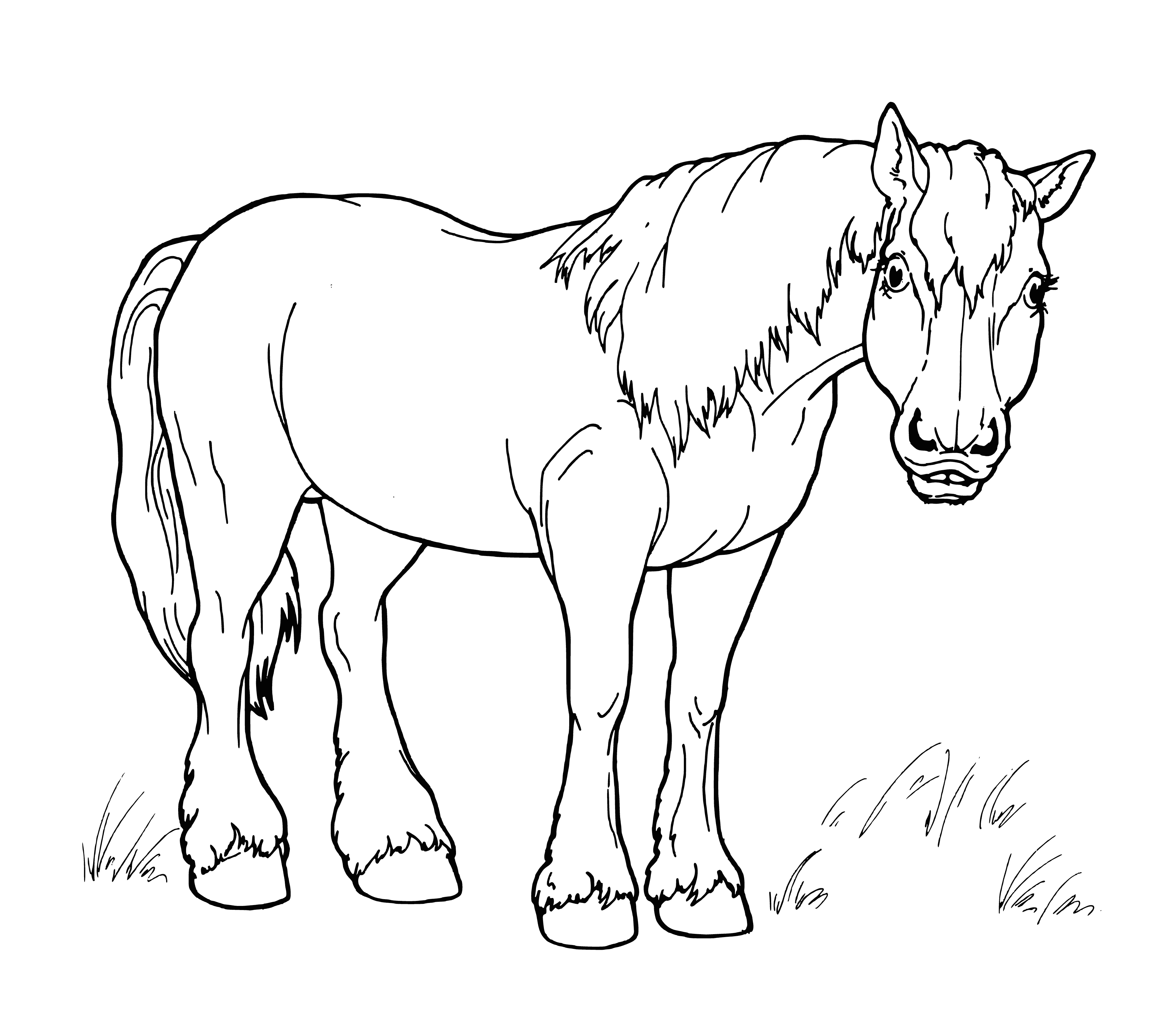 coloring page: Horses are four-legged mammals w/ long neck & tail, used for transportation & recreation & associated with freedom & power.