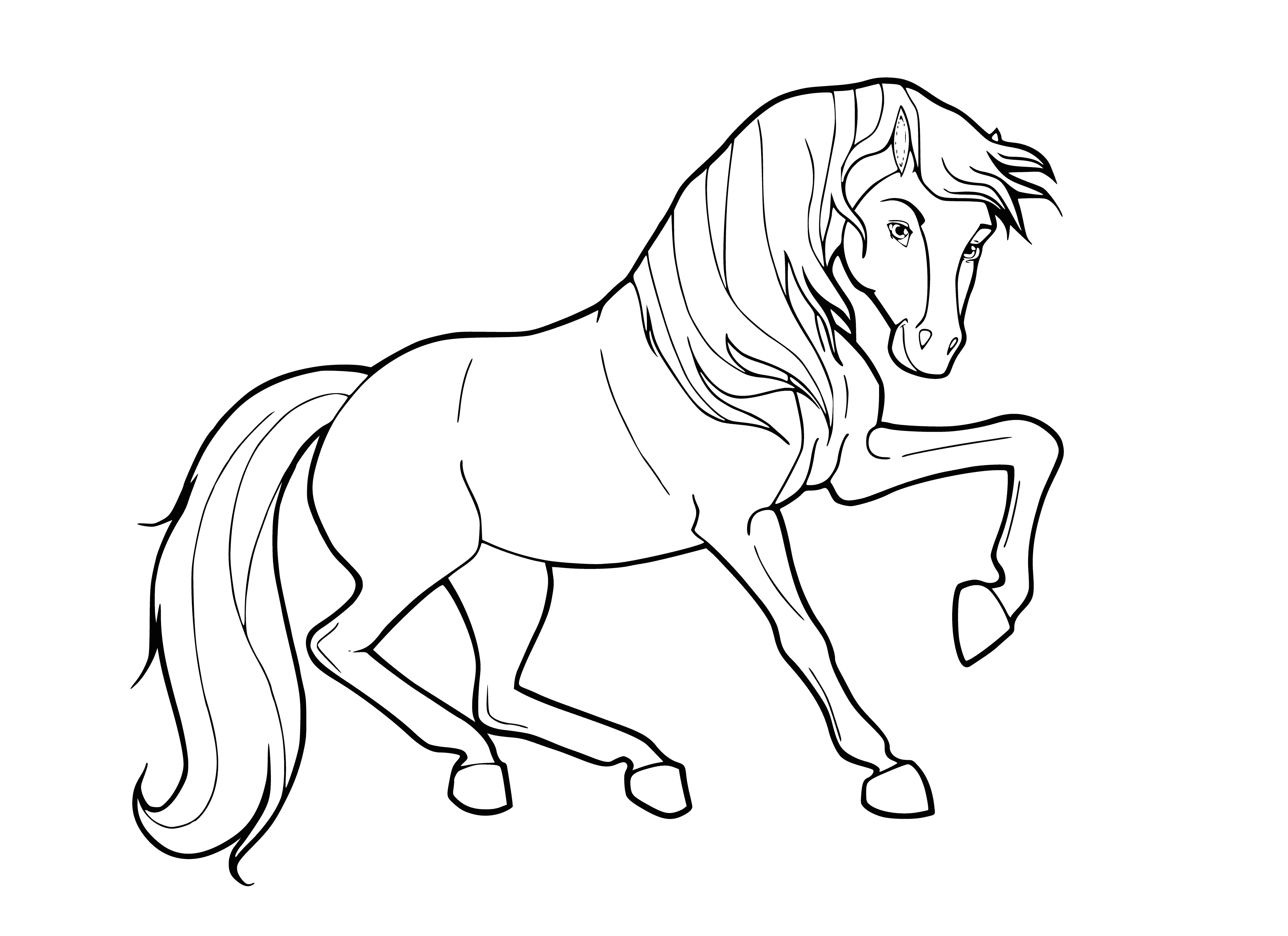 coloring page: Horses are four-legged mammals with long necks, a mane, and a tail. They eat grass & hay for sustenance & are used for transportation, recreation, & work.