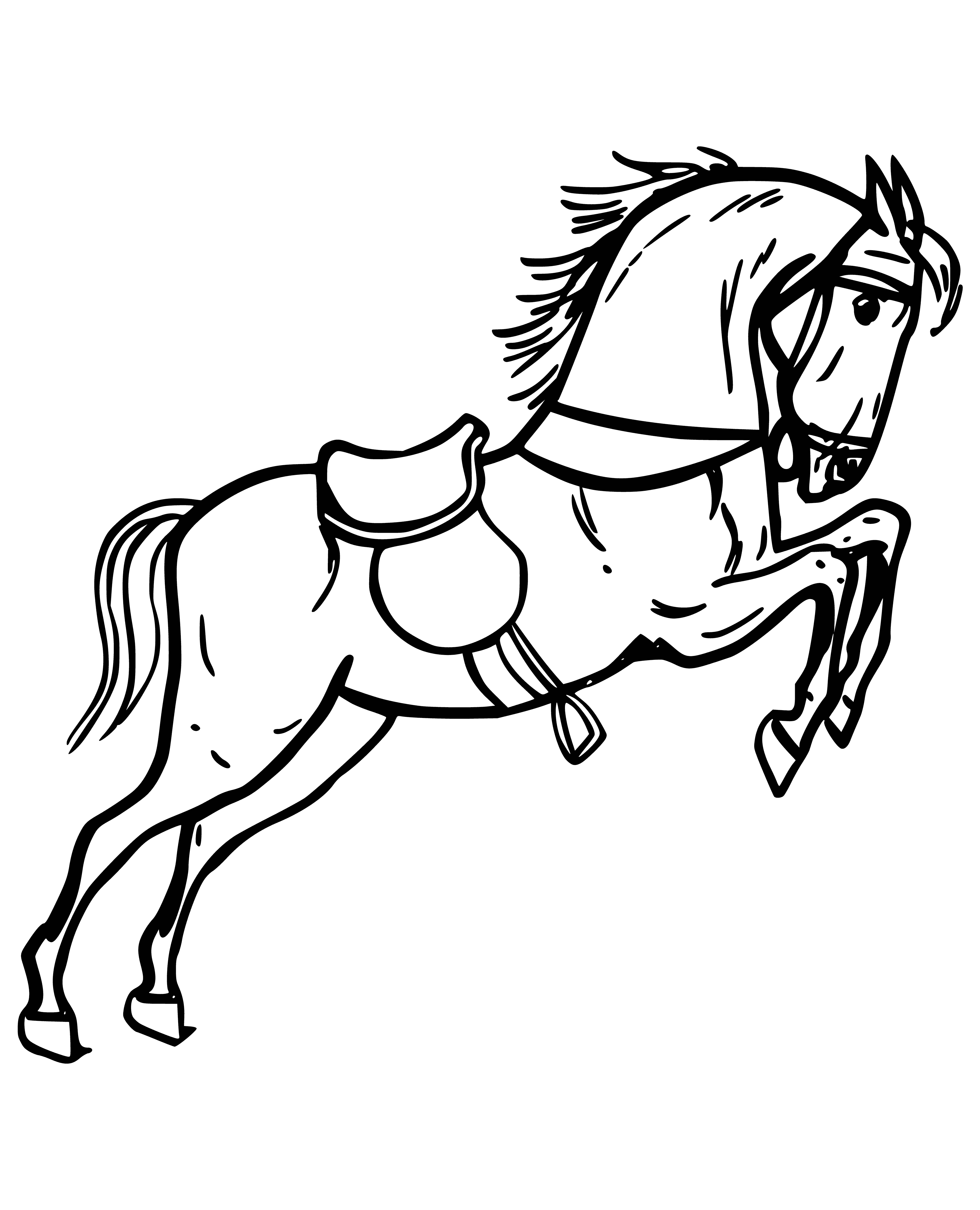 coloring page: Smokey gray horse w/ black spots, long neck, small head, dark eyes, pointy ears, long mane/tail, and black hooves.