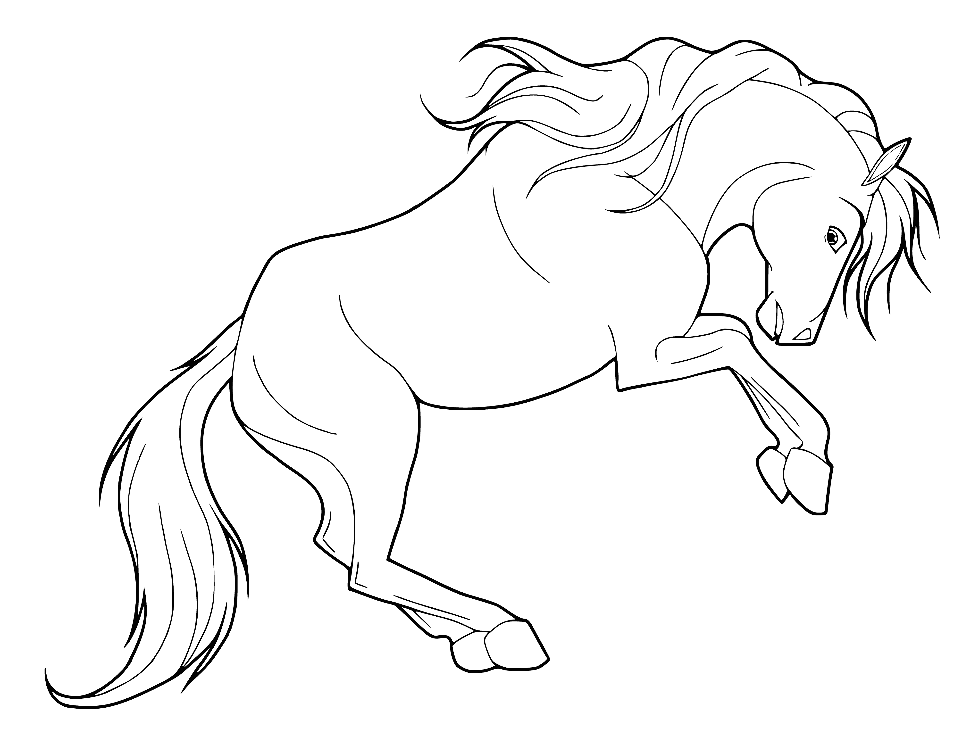 coloring page: Happy brown & white horse galloping energetically through a field, with a long mane & tail, head held high & ears perked up. Looks excited!