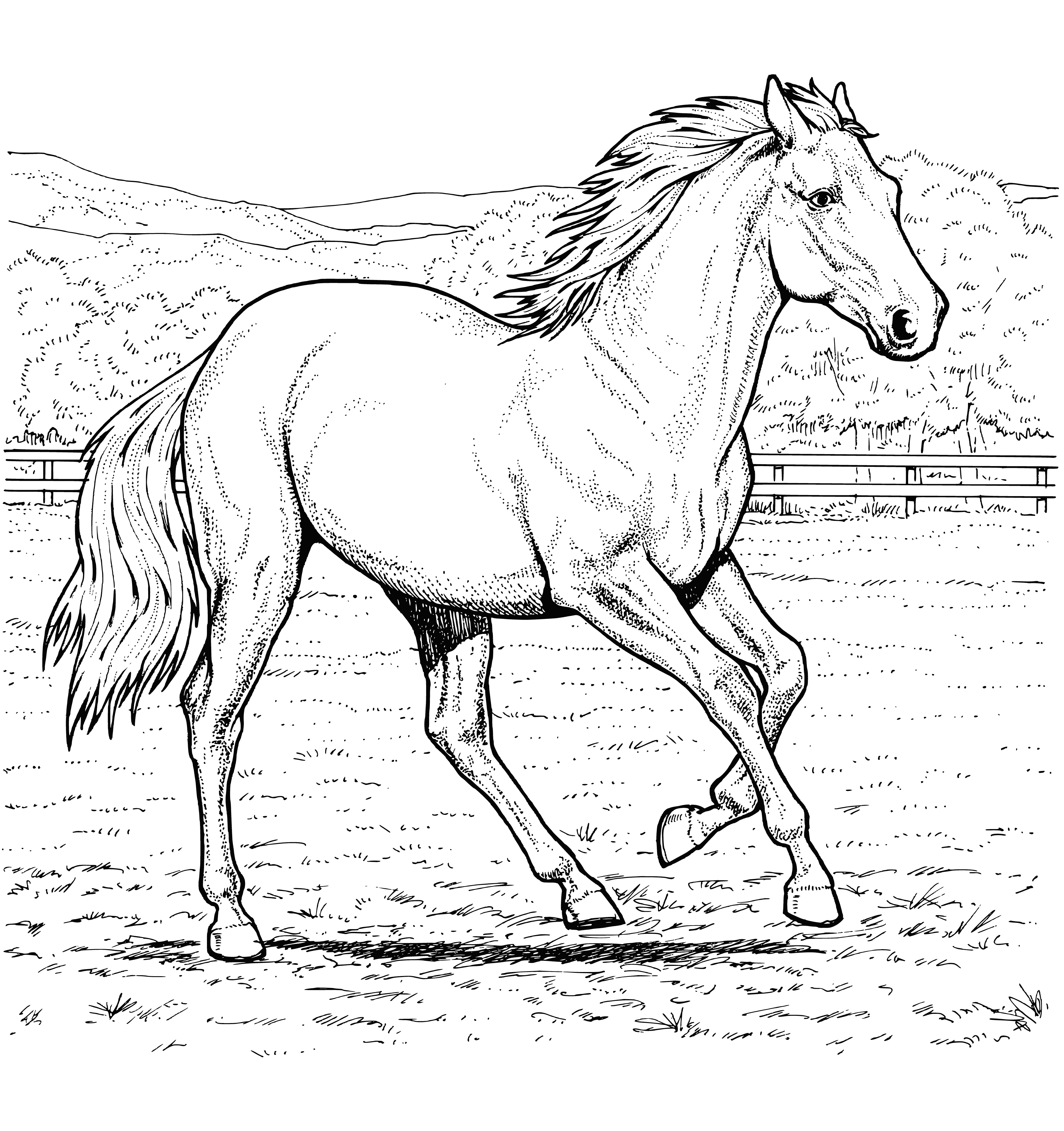 coloring page: Standing in a field, alert horse has dark coat & light mane/tail. Left front hoof raised on large round rock. Ears perked forward & head turned left.