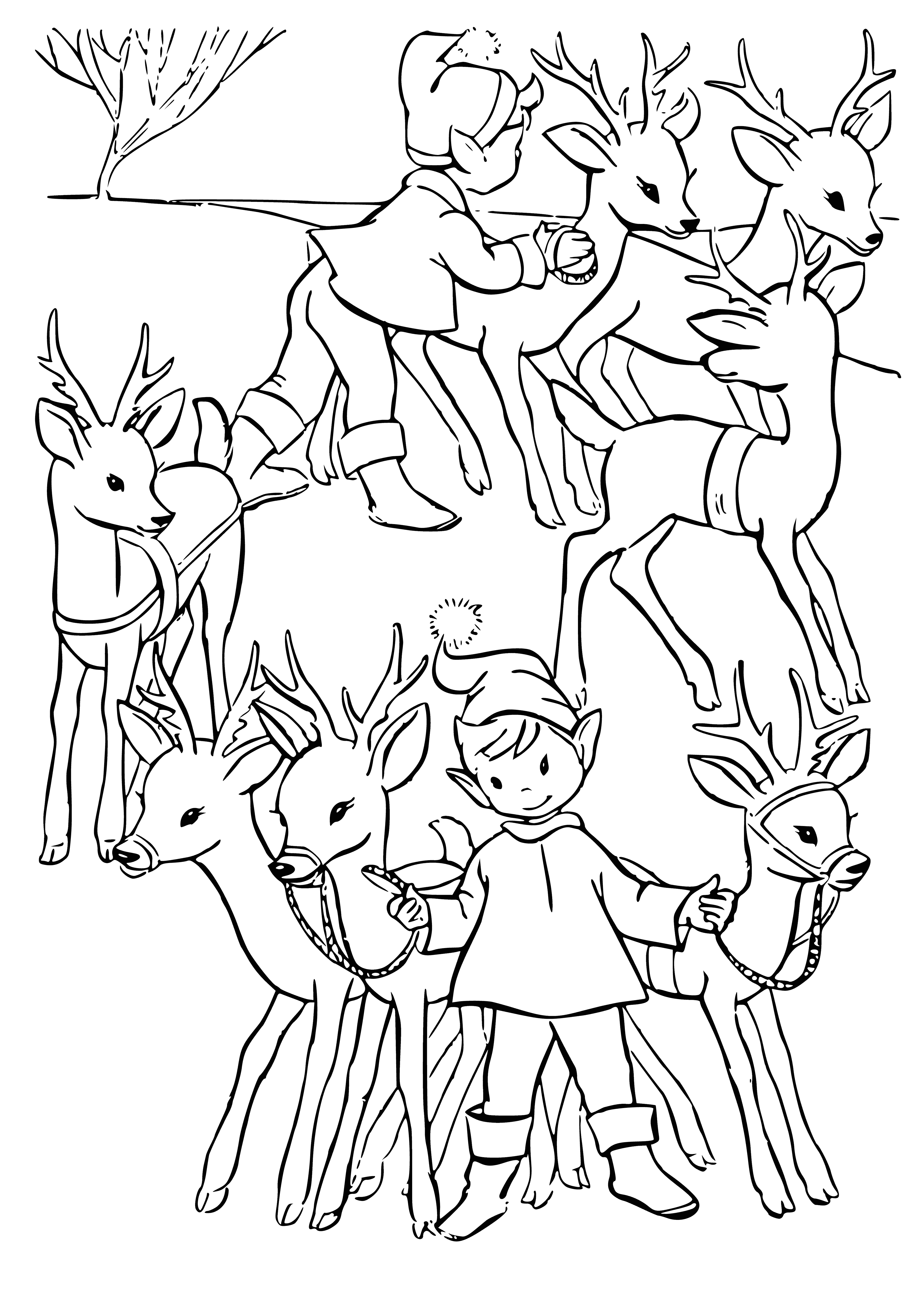coloring page: Deer wearing Santa outfit, with antlers, scarf & red/white hat, friendly expression looking at camera.