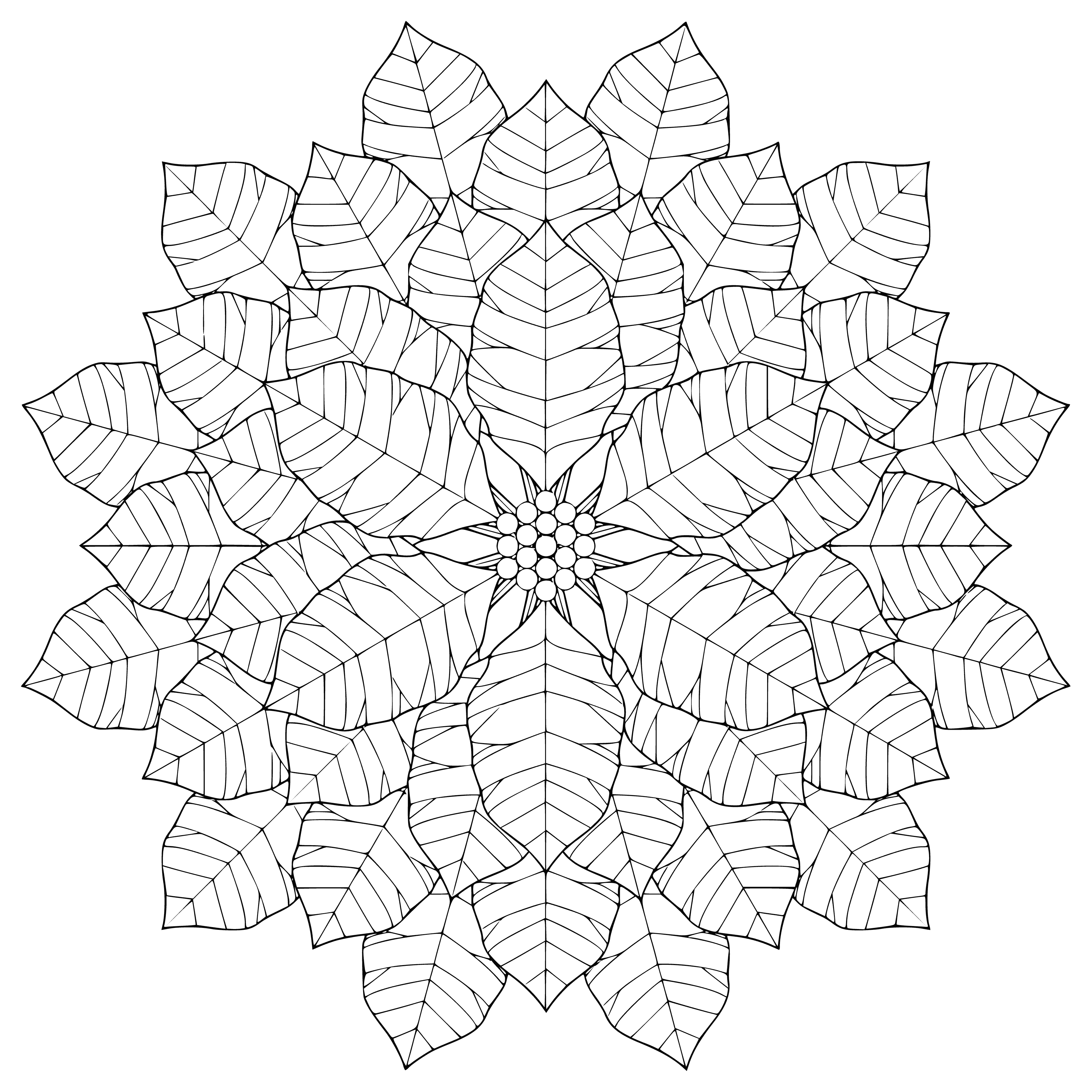 coloring page: Beautiful snowflake resting on a black background w/ 6 irregular, curved arms; smooth, blemish-free surface.