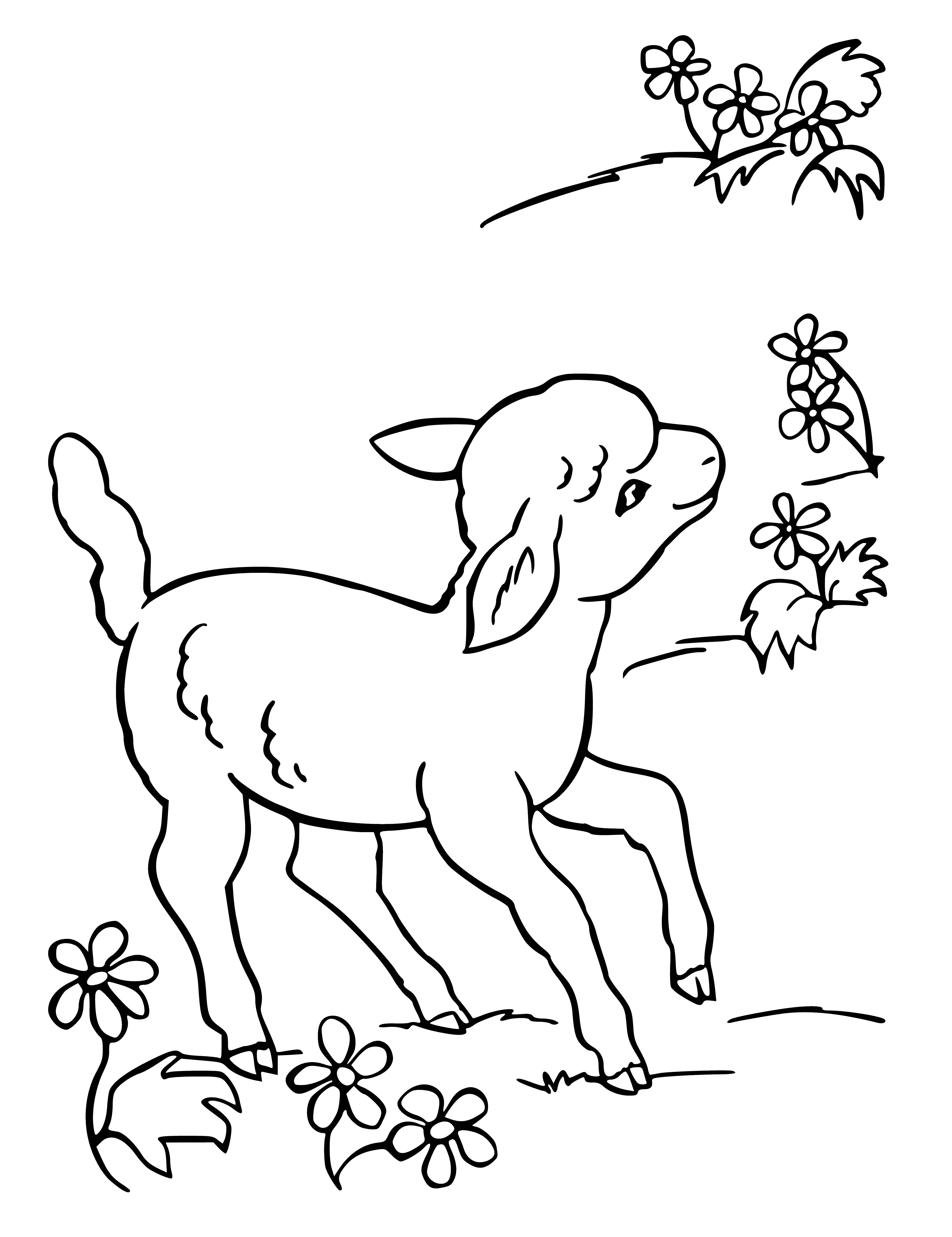 Merry sheep coloring page