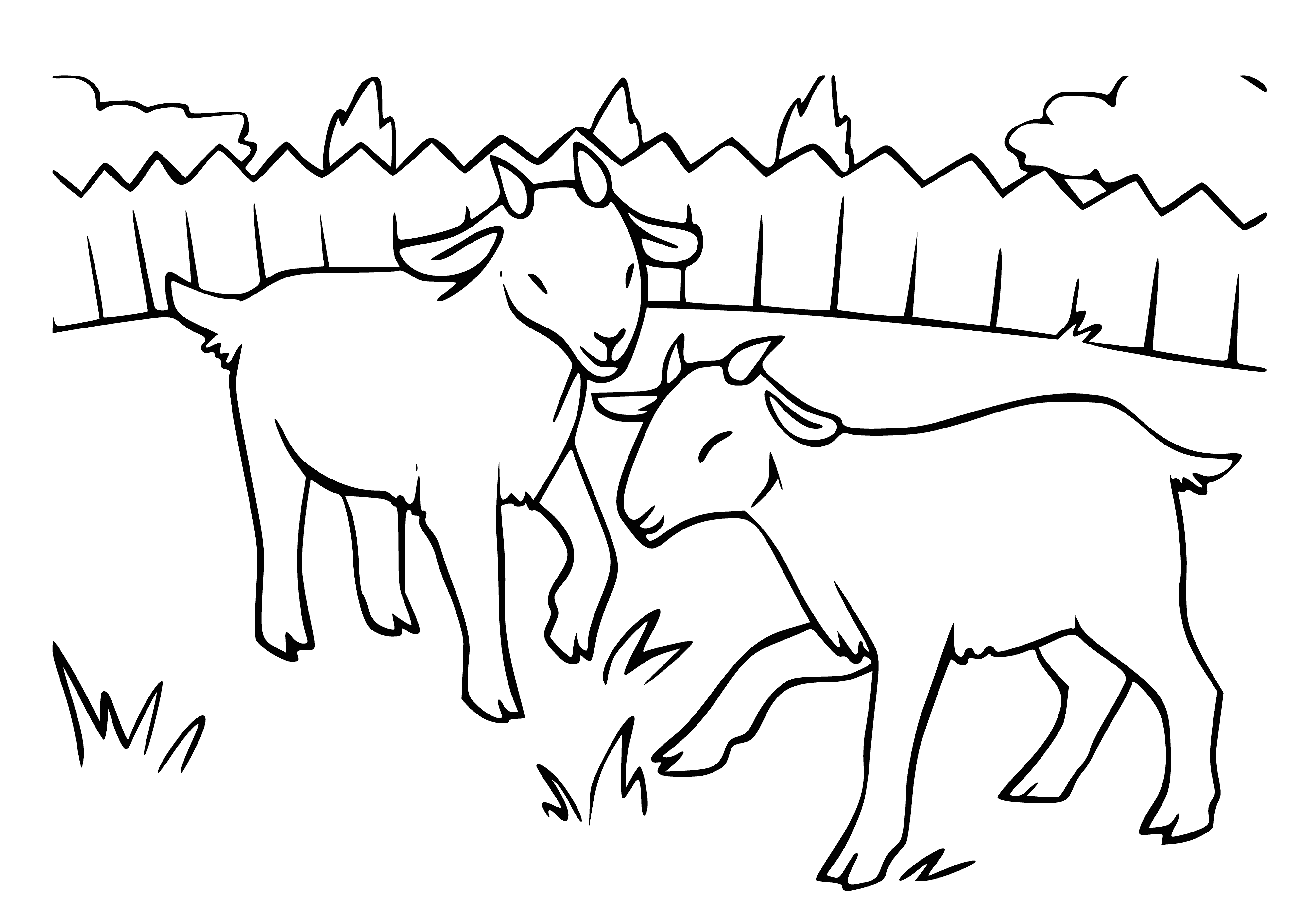 coloring page: Goats with white and black spots grazing on the lawn, munching on some grass.