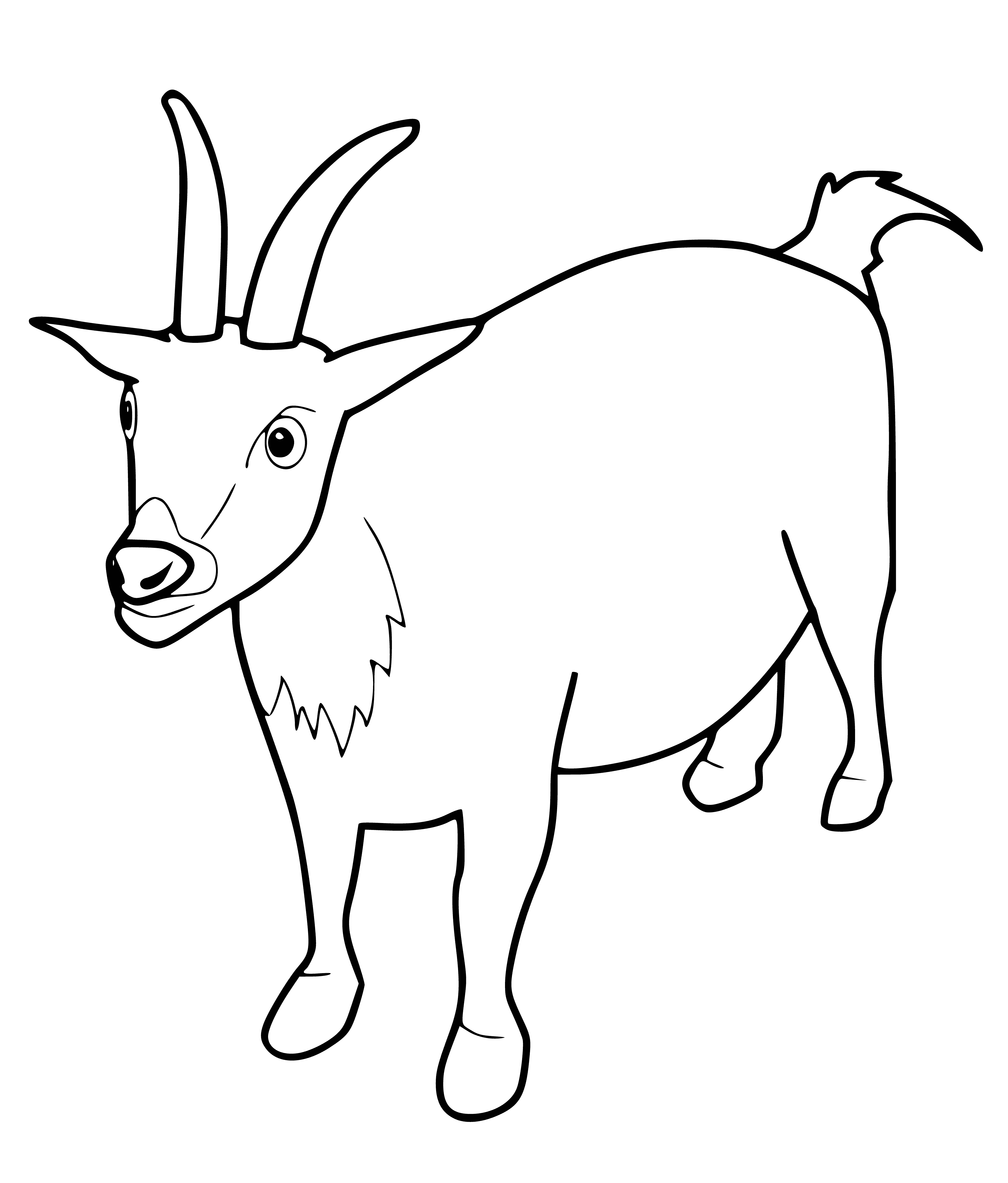 coloring page: Goats are four-legged mammals w/ horns, social animals that eat vegetation in herds.