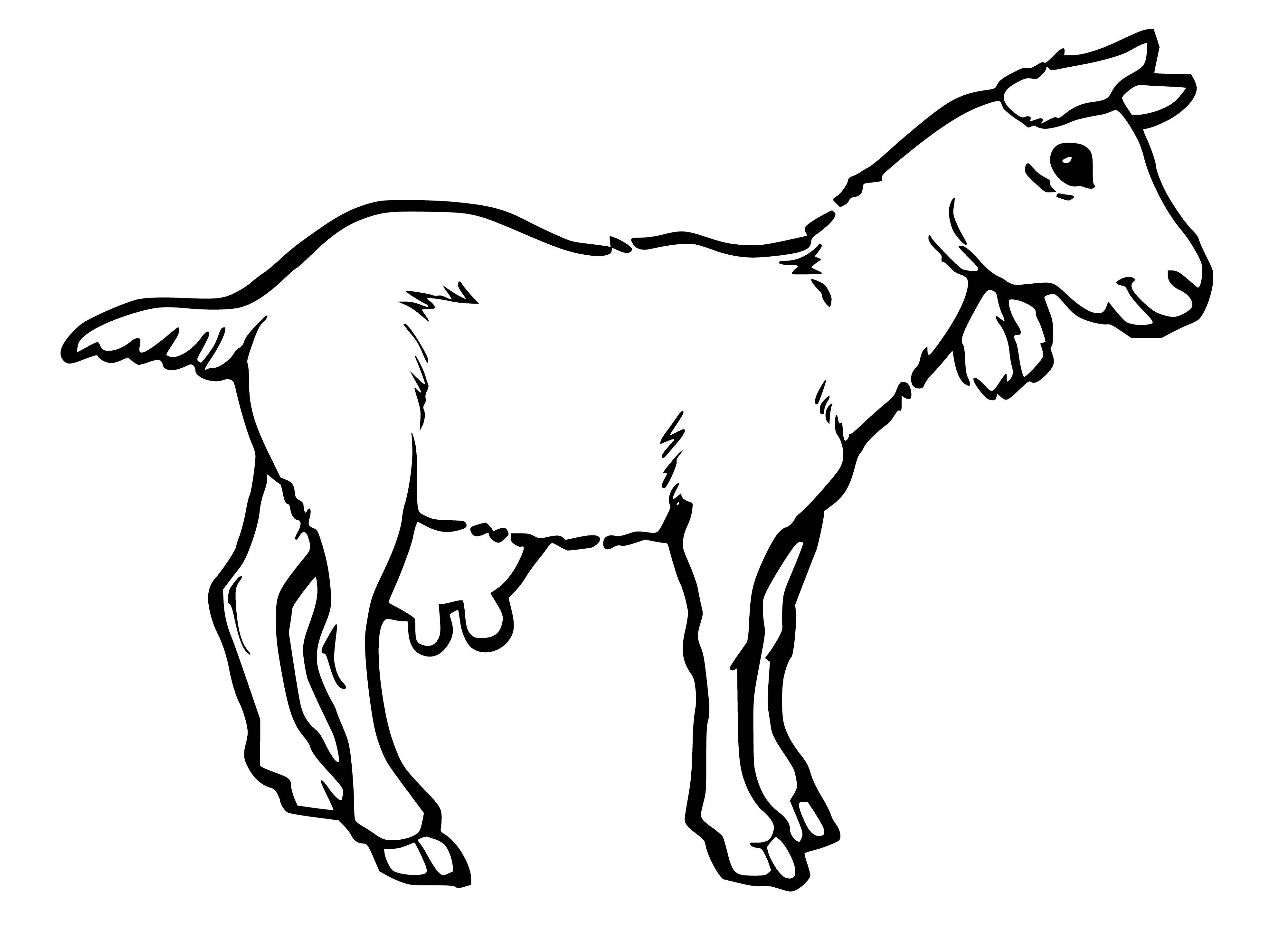 coloring page: Goat is a four-legged mammal with fur, two small horns, black eyes & nose. Stands on a mountain with mouth open & tongue out.